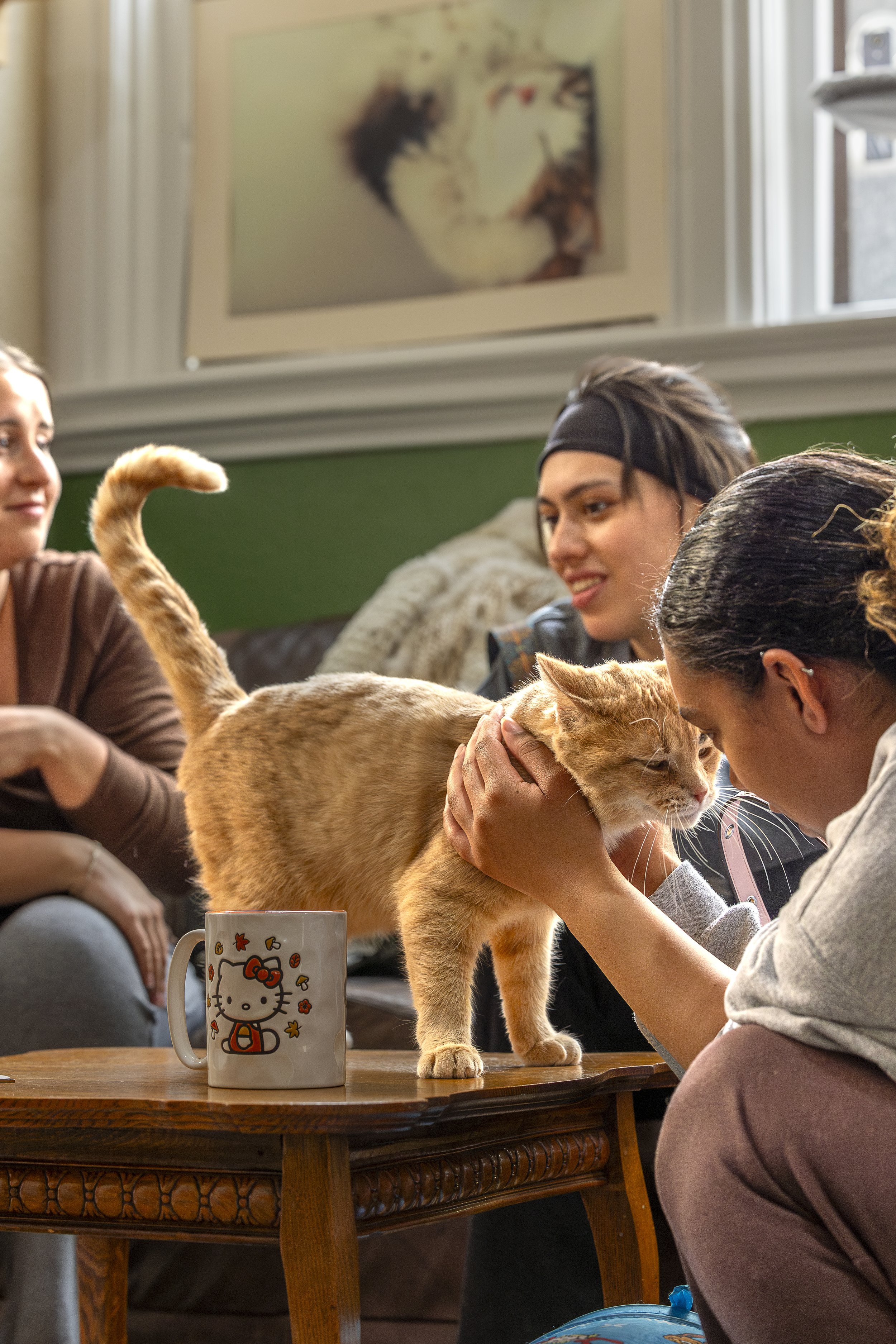 Four women in a living room interacting with an orange tabby cat on a wooden table, with a 'Hello Kitty' mug nearby and a dog in the background. One woman is holding and petting the cat's face.