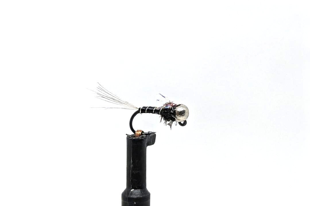 Xmay Perdigon Higa.jpg