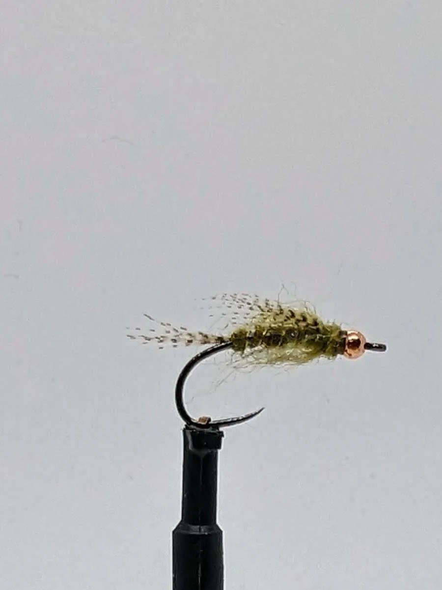 Store Swinging BN Olive.jpg