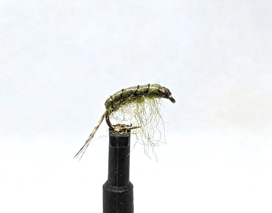 Lance's AP Scud Olive.jpg