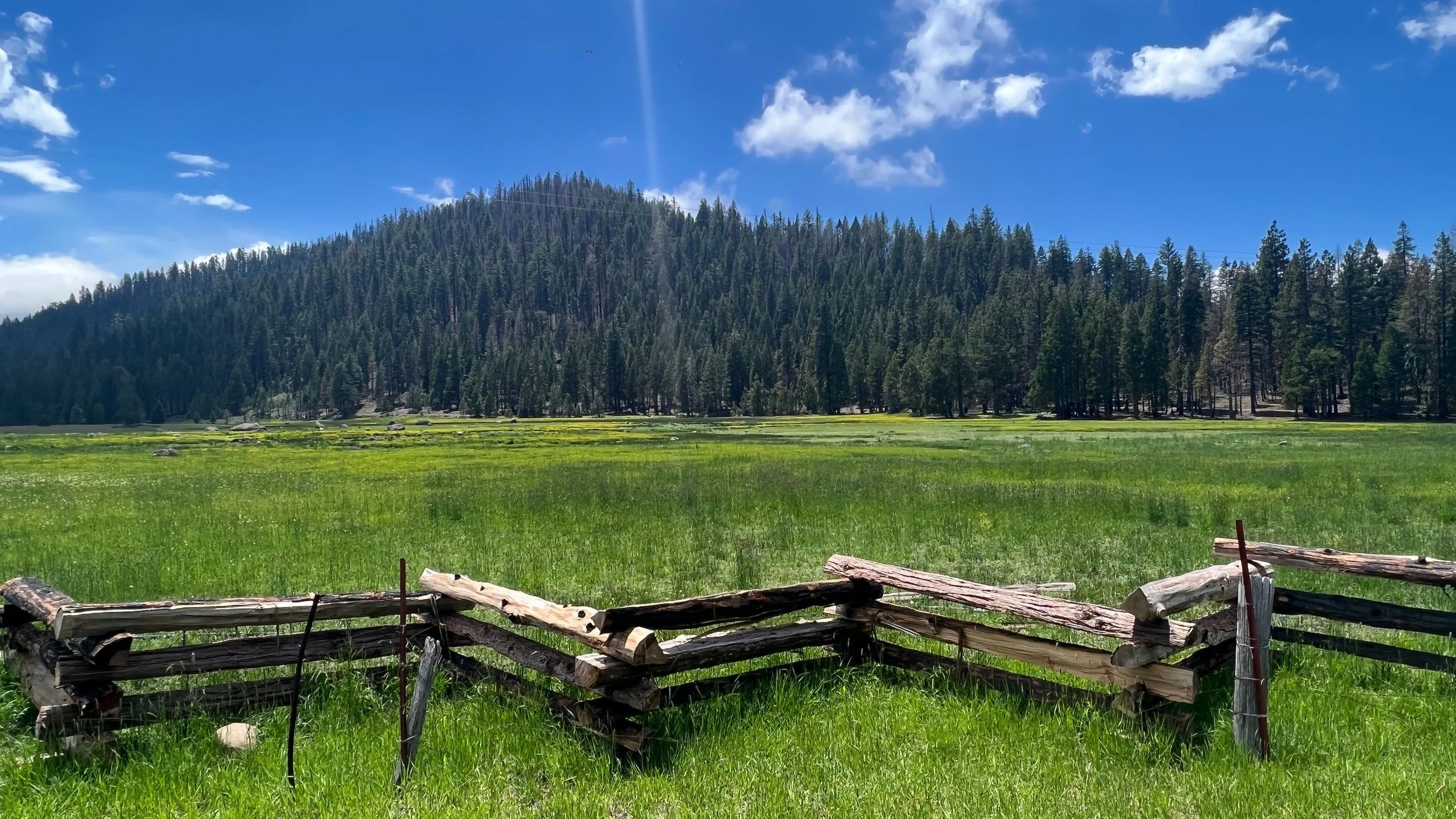 Guided Fly Fishing, Manzanita Lake in Lassen Volcanic National Park, CA