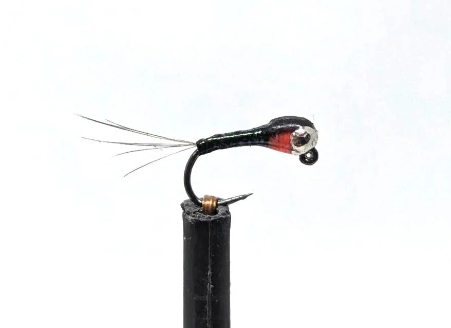 Black perdigon.jpg