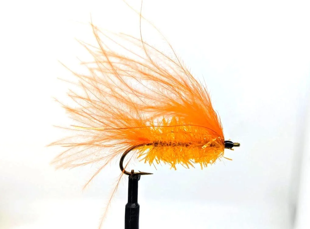 Hot Orange.jpg