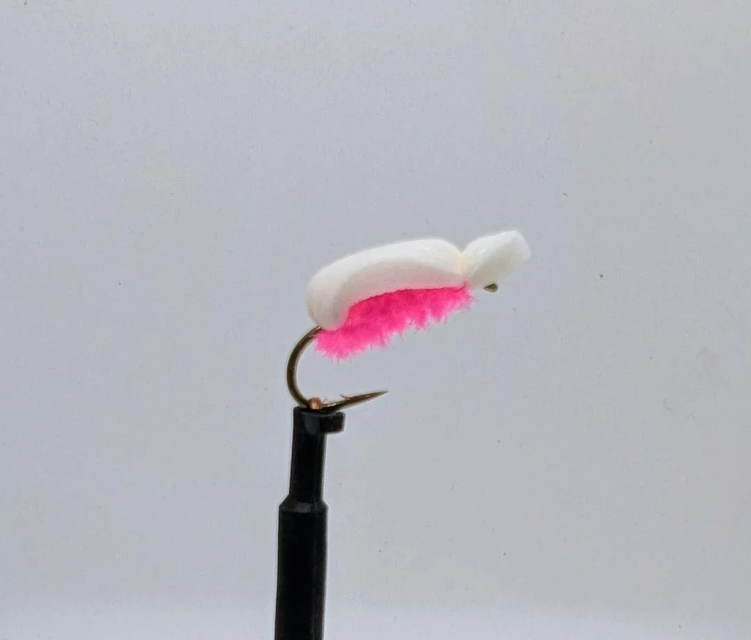 Doug's Popcorn Beetle Magenta.jpg