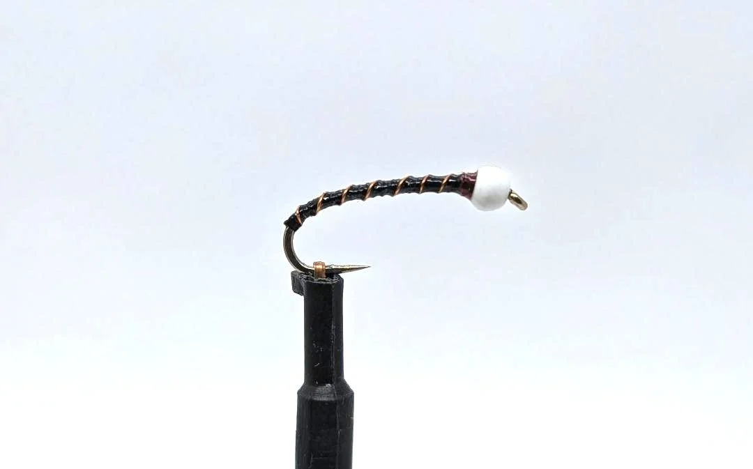 Albino Amber Jack Midge.jpg