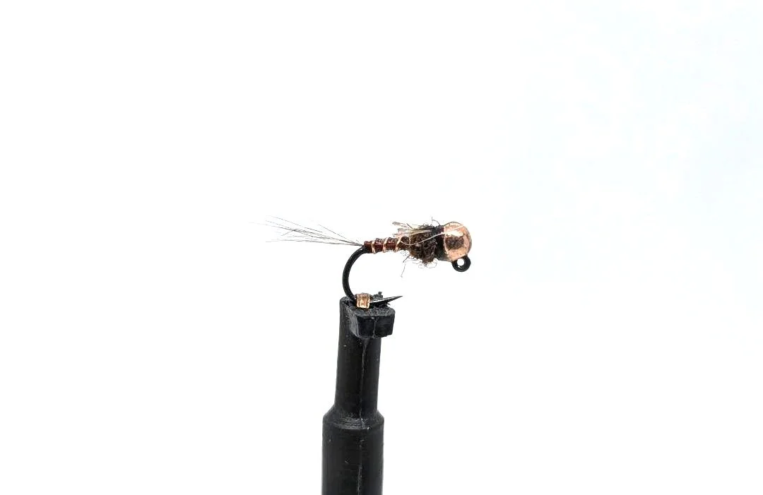 Xmay perdigon Brown.jpg