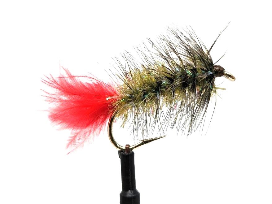 Woolly Worm Martini Size 4 – 6
