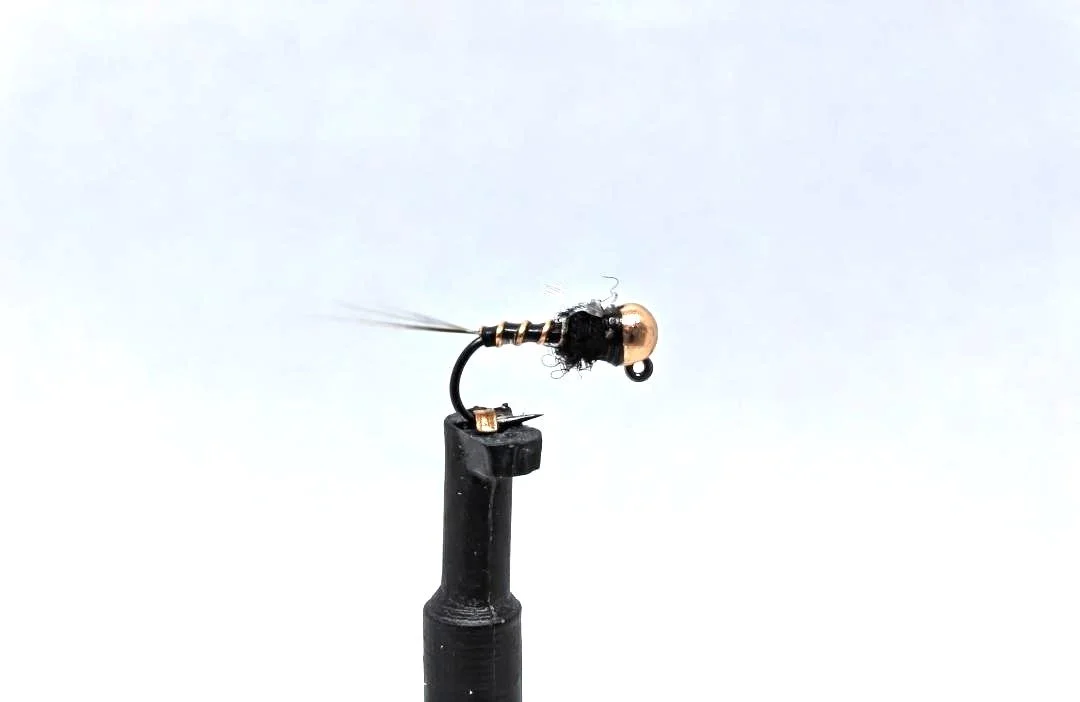 Xmay Perdigon Black.jpg