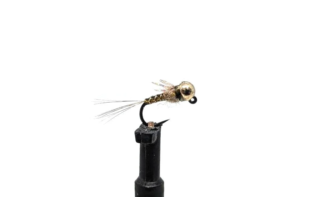 Xmay Perdigon PMD.jpg