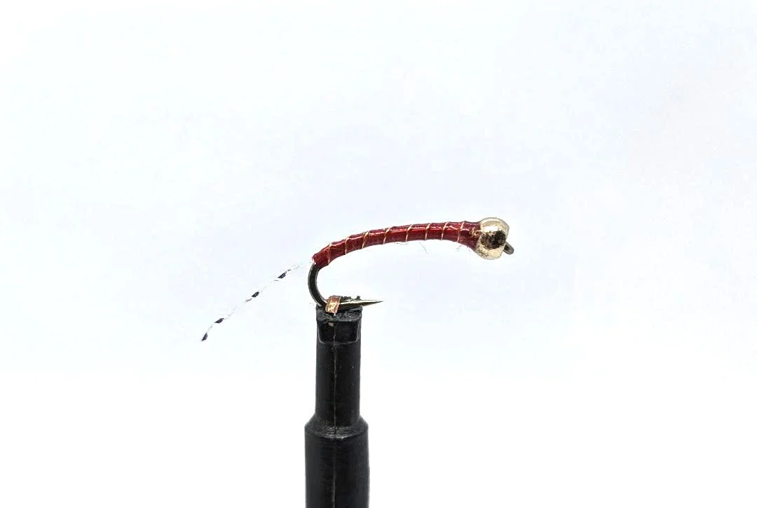 Lightning Tail 49er Midge.jpg