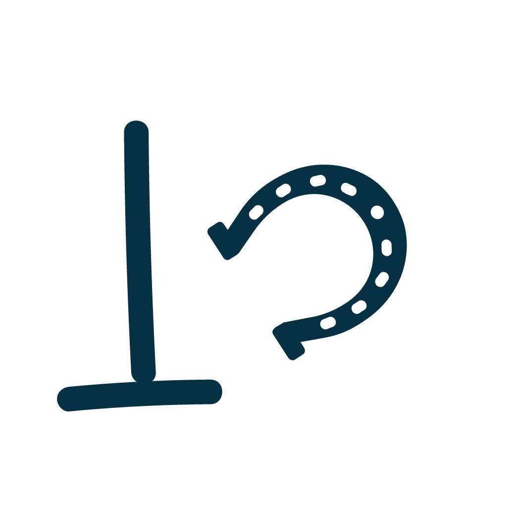 PinnacleLiefstyles-icons_horseshoes.png
