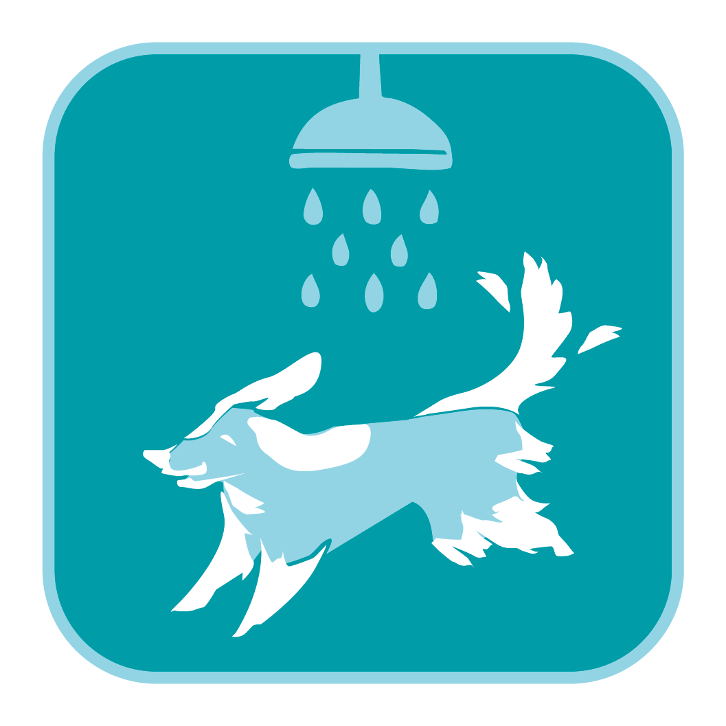 PinnacleLiefstyles-icons_a-dogwash.png