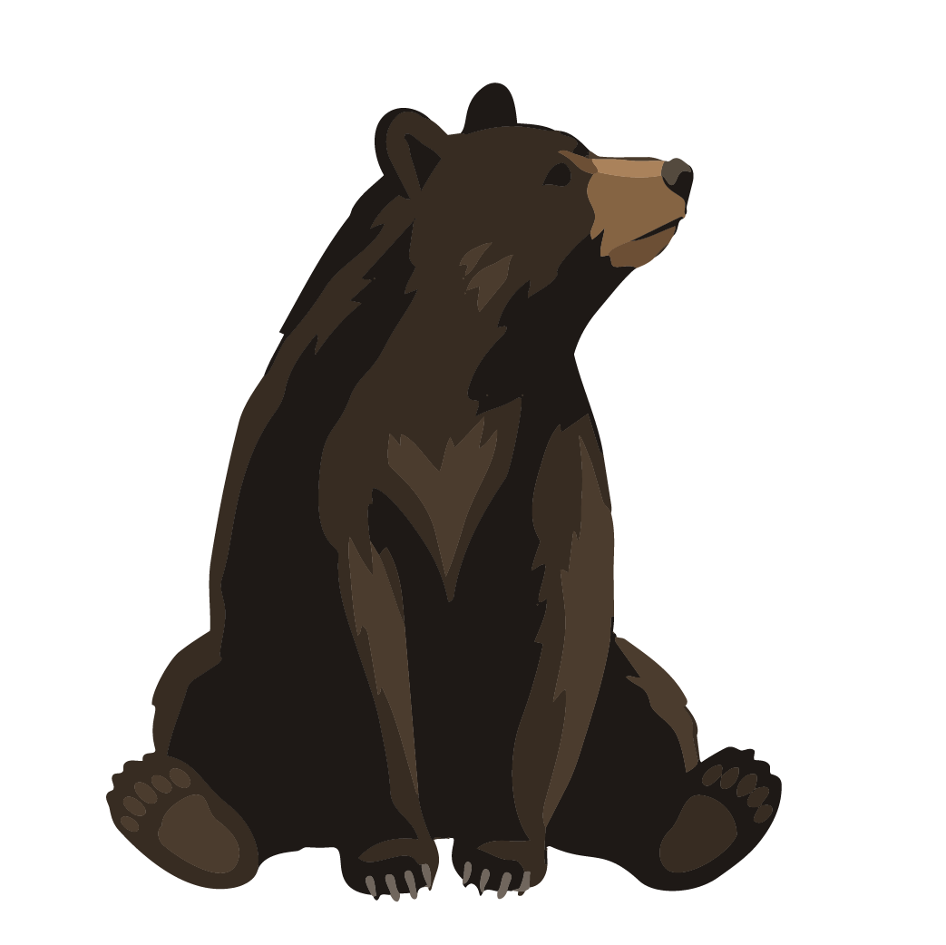 PinnacleLiefstyles-icons_bear.png