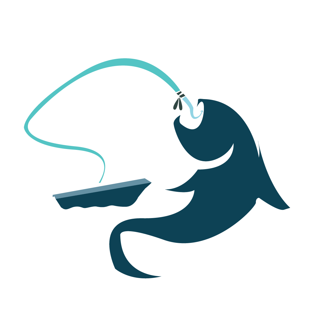 PinnacleLiefstyles-icons_fishing boat.png