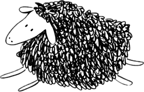 BLACK SHEEP HAIR STUDIO