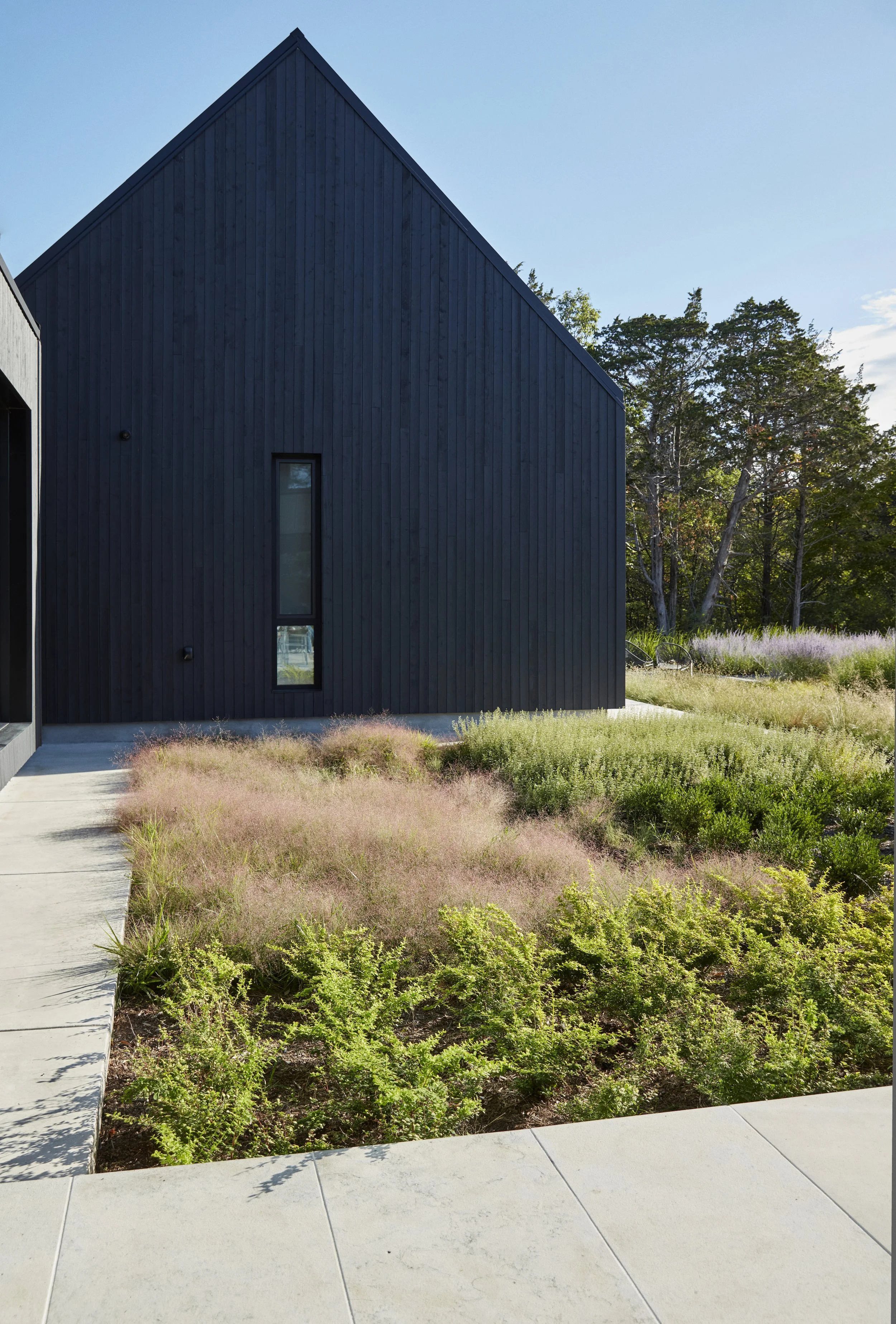 Saty+Pratha_DN_86 Lyons0049.jpg