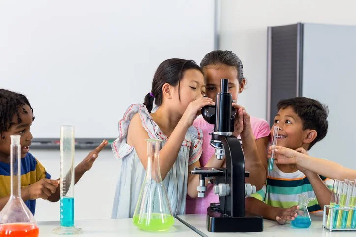 Stem Day Examples 5 Celebrate National STEM Day 2024 with These Fun and Screen-Free Ideas ...