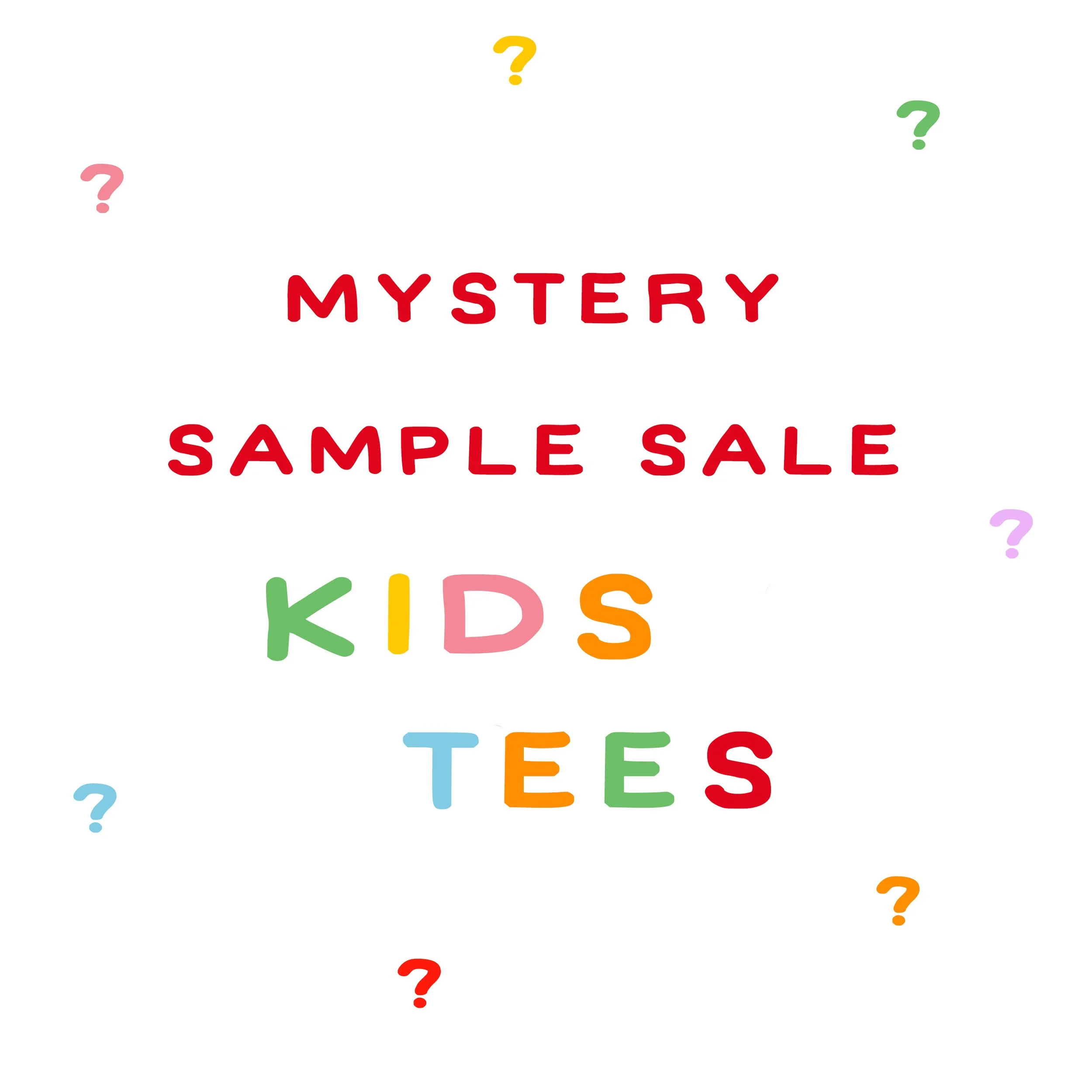 Kids Tees  -Mystery Clothing Sample Sale