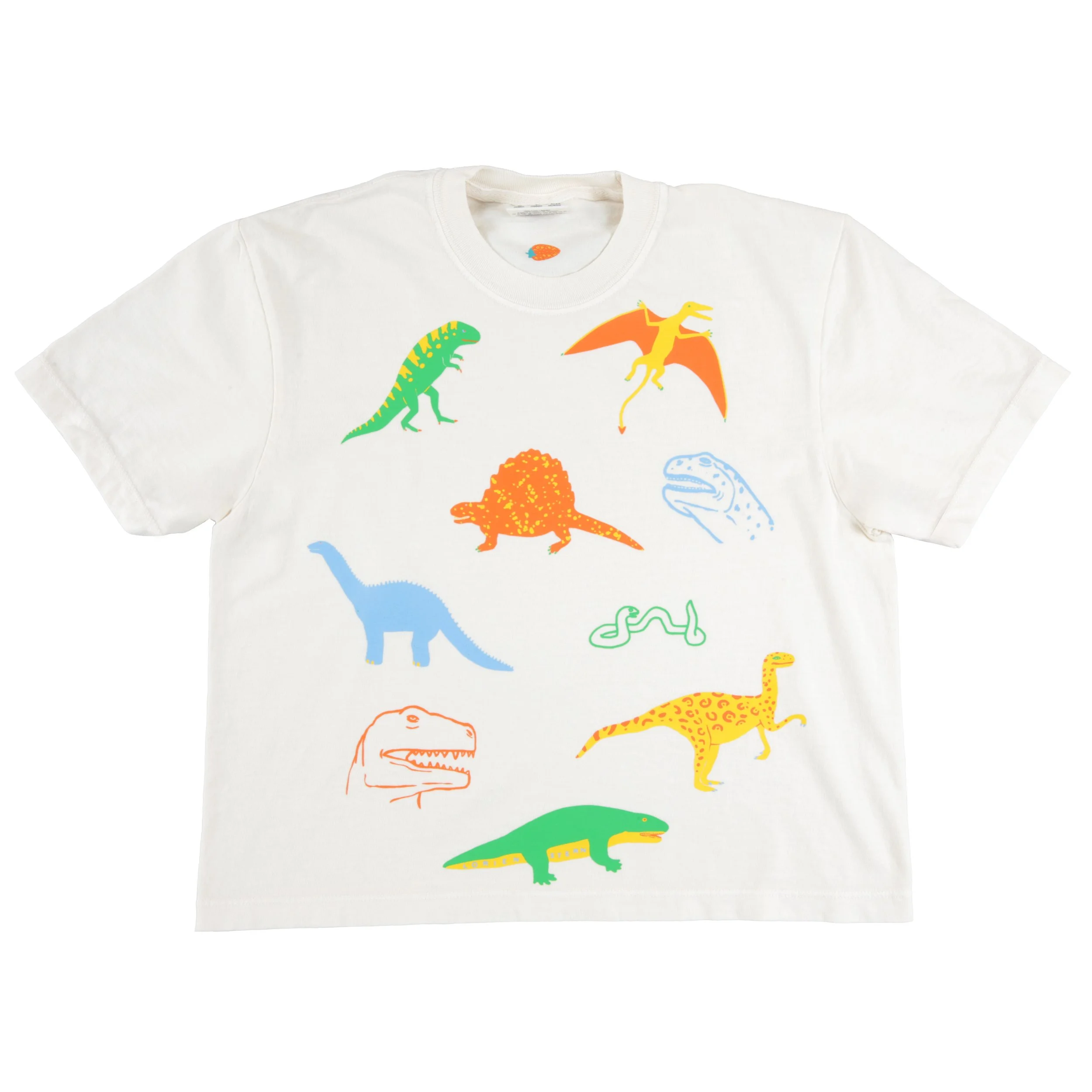 Prehistoric Dreams Boxy Crop Tee