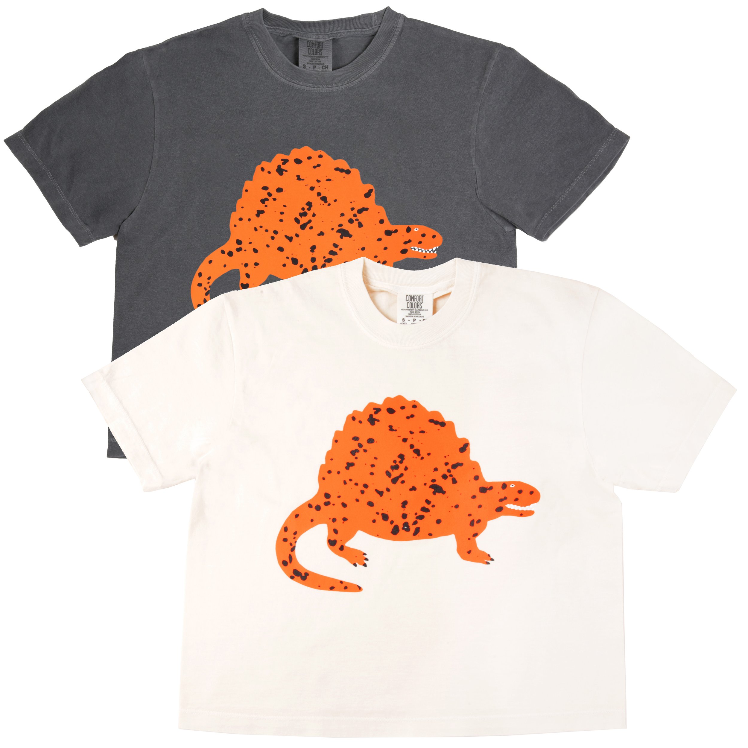 Dimetrodon Boxy Crop Tee