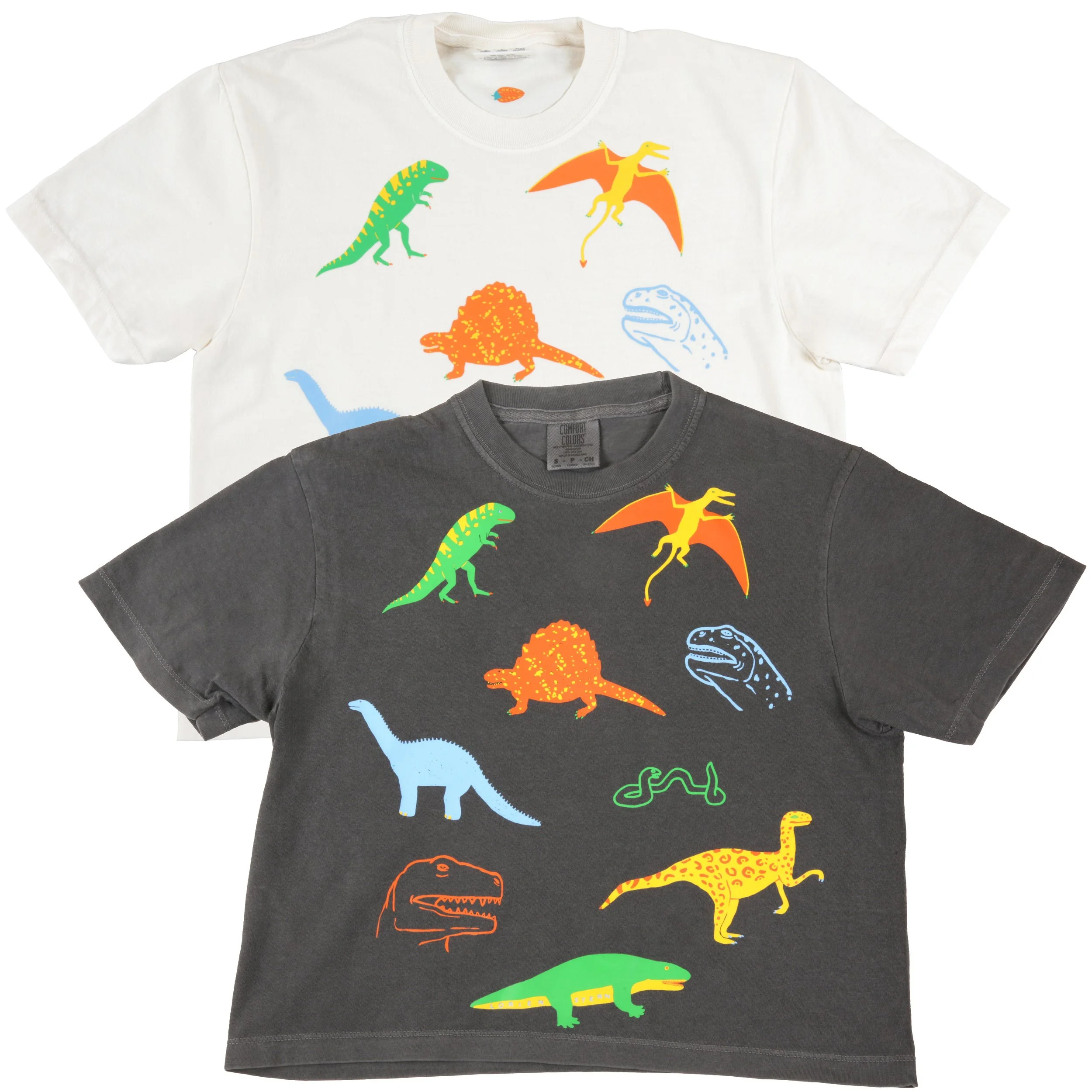 Prehistoric Dreams Boxy Crop Tee