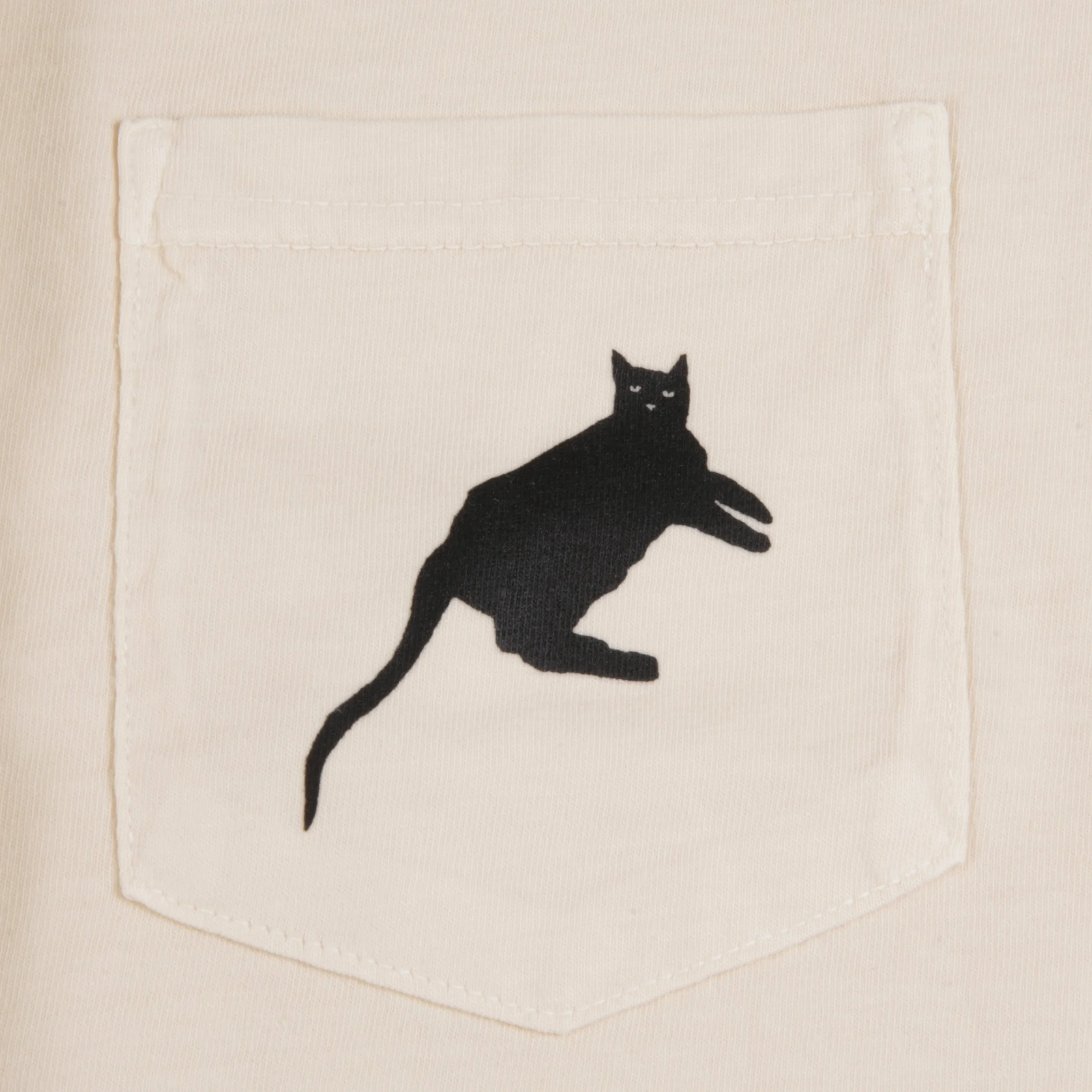 cat pocket.jpg