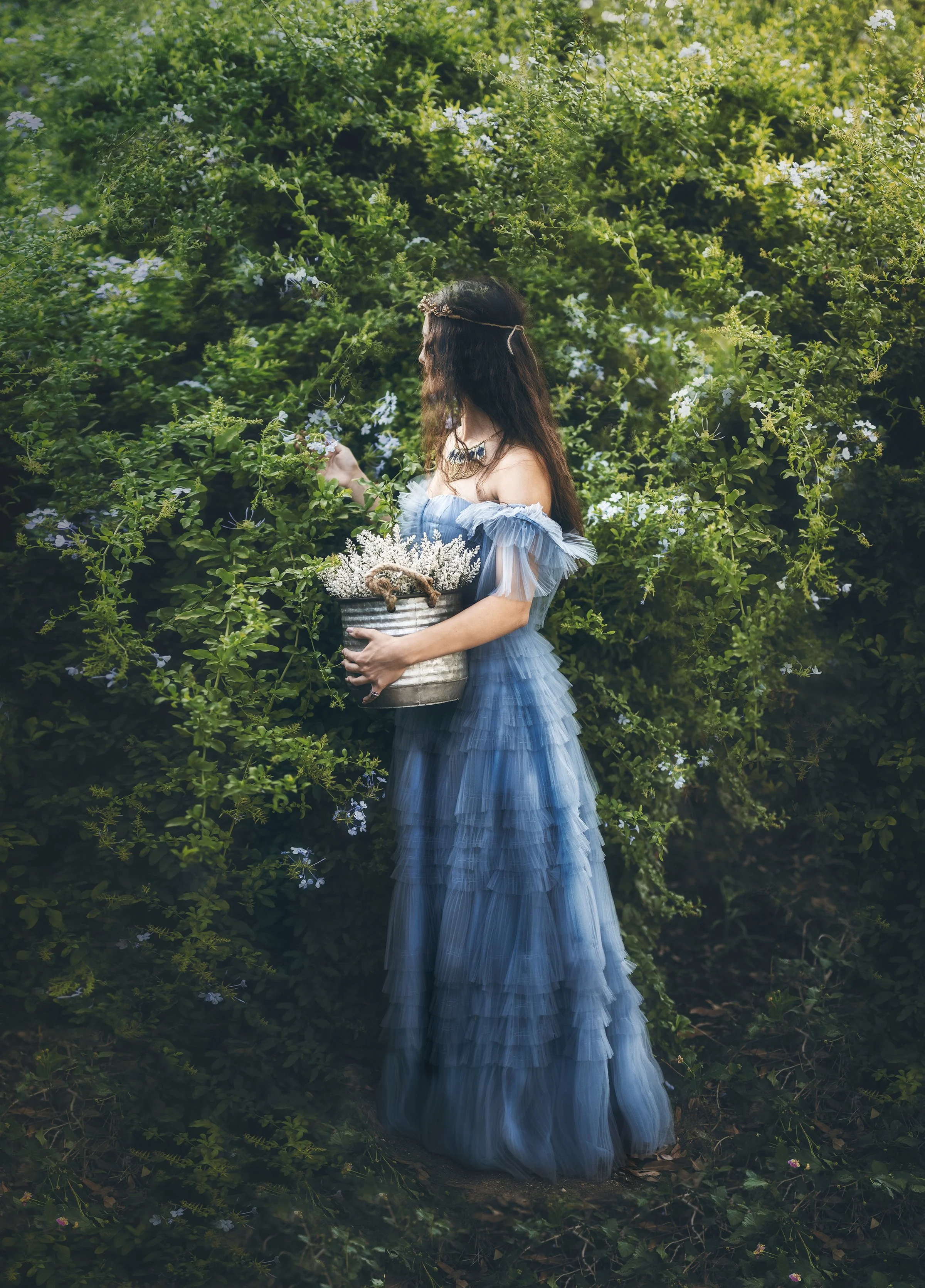 Portrait of a woman in a blue gown holding flowers in front of a flowering hedge