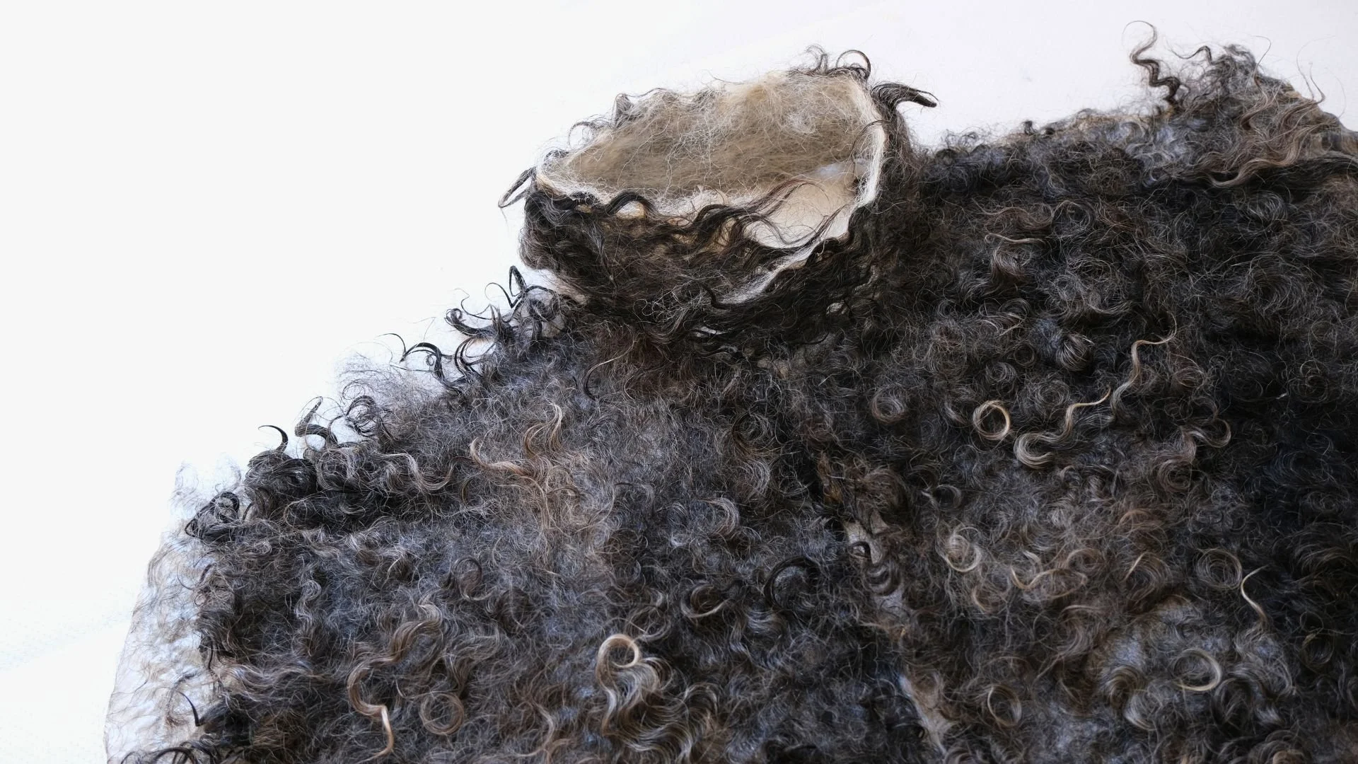 Talent Talks: Shushanik Droshakiryan