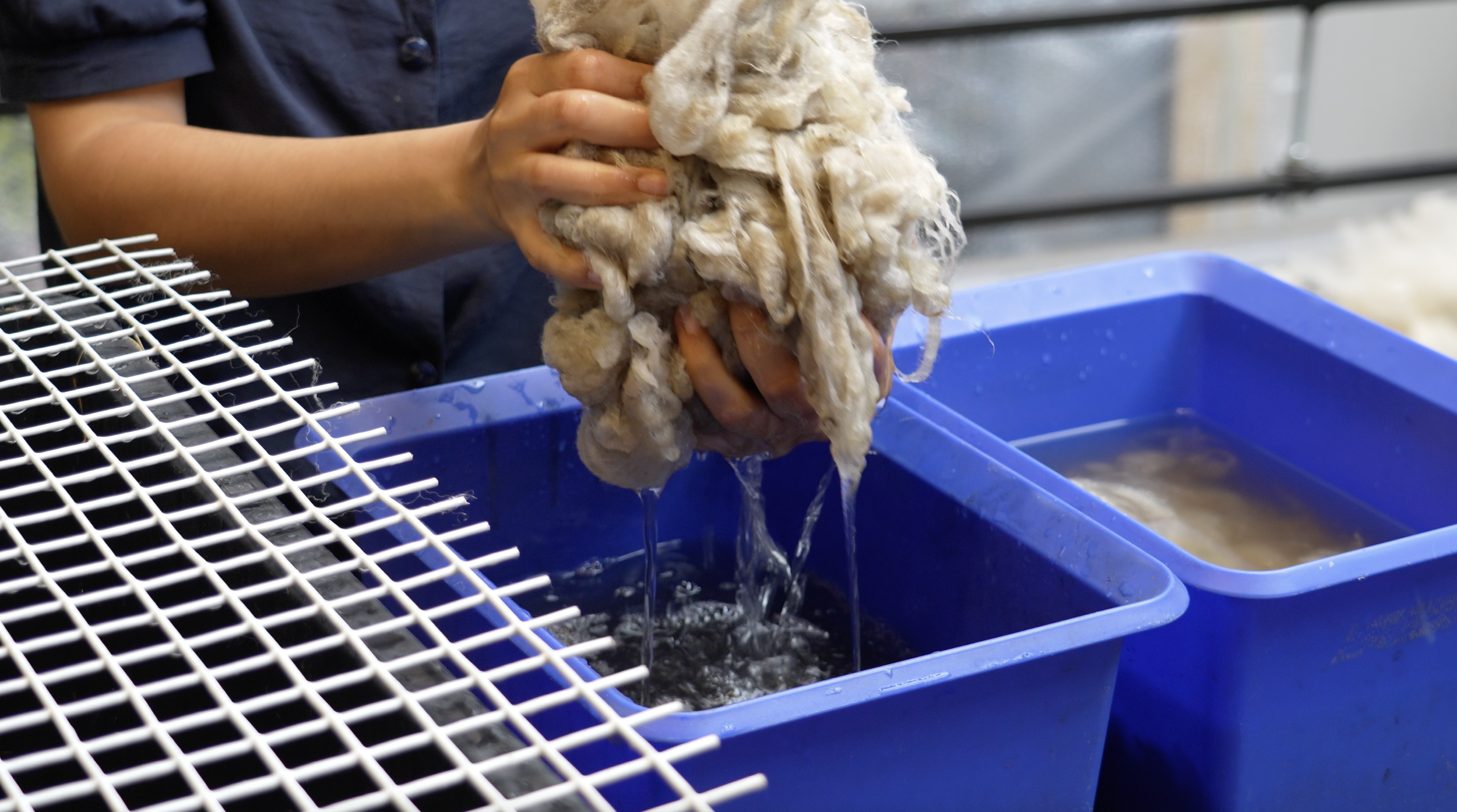 Wool Washing Workshop