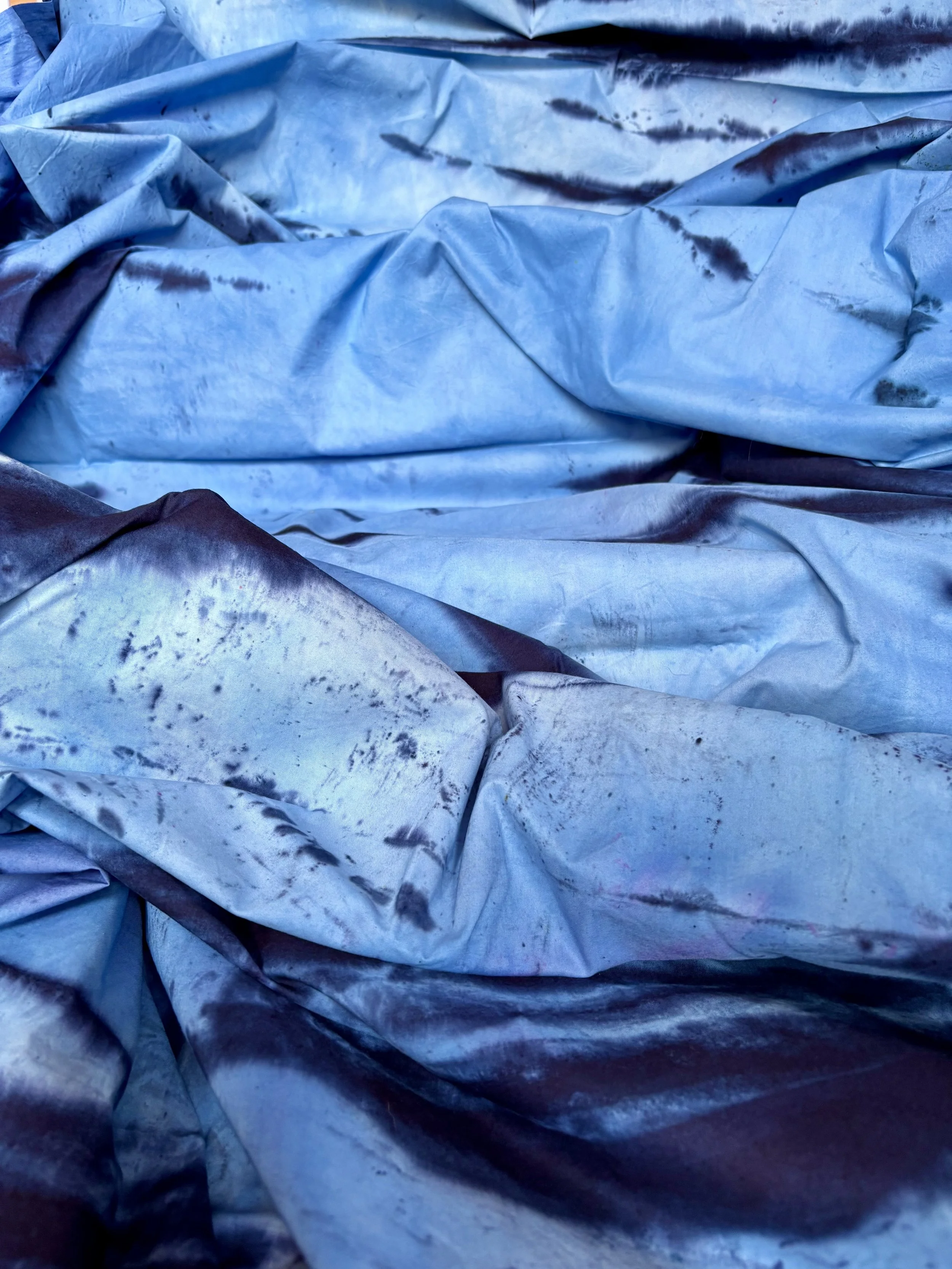 Exhibition: La Chambre Bleue