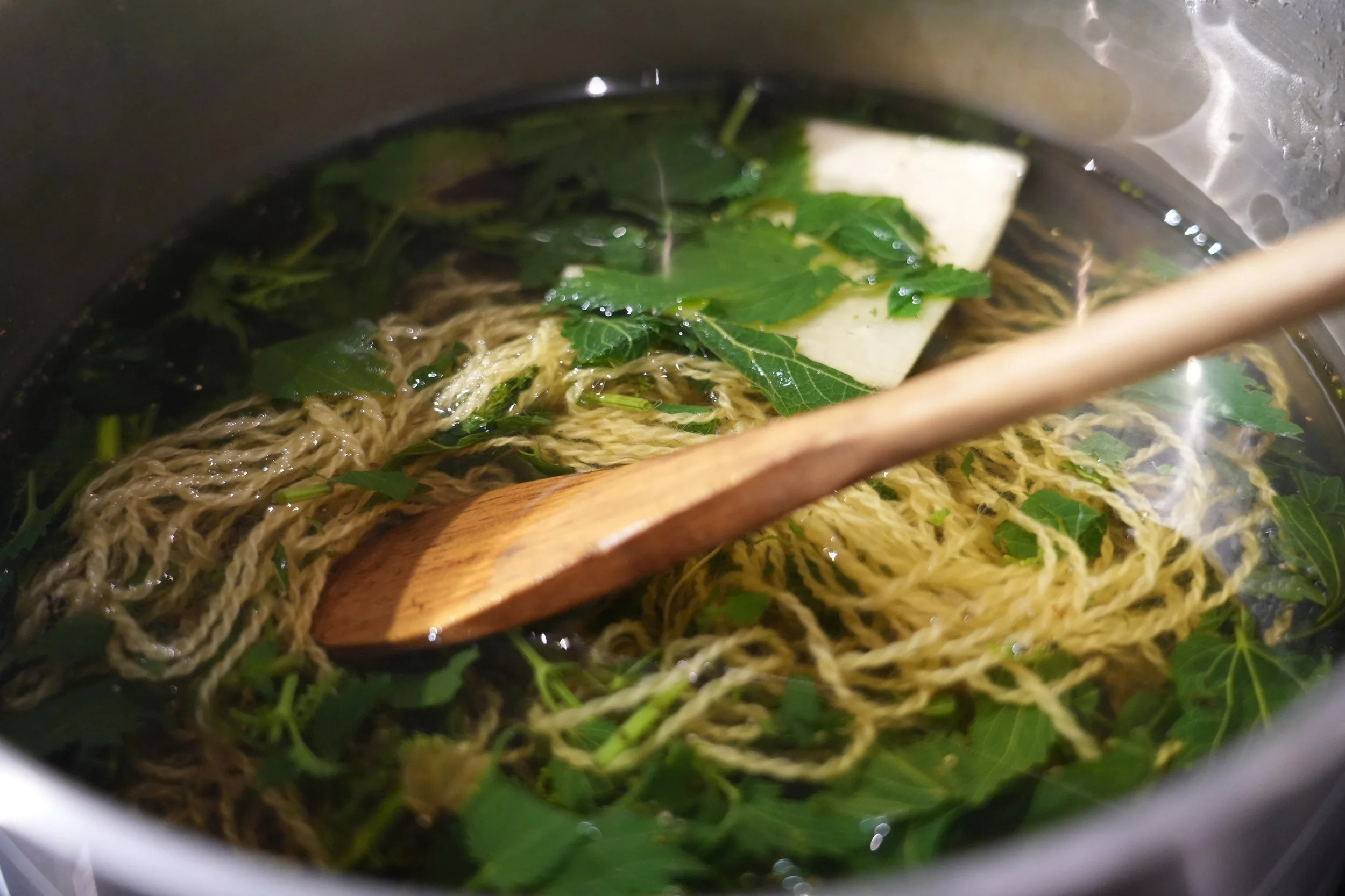 Natural Dye Station - introduction