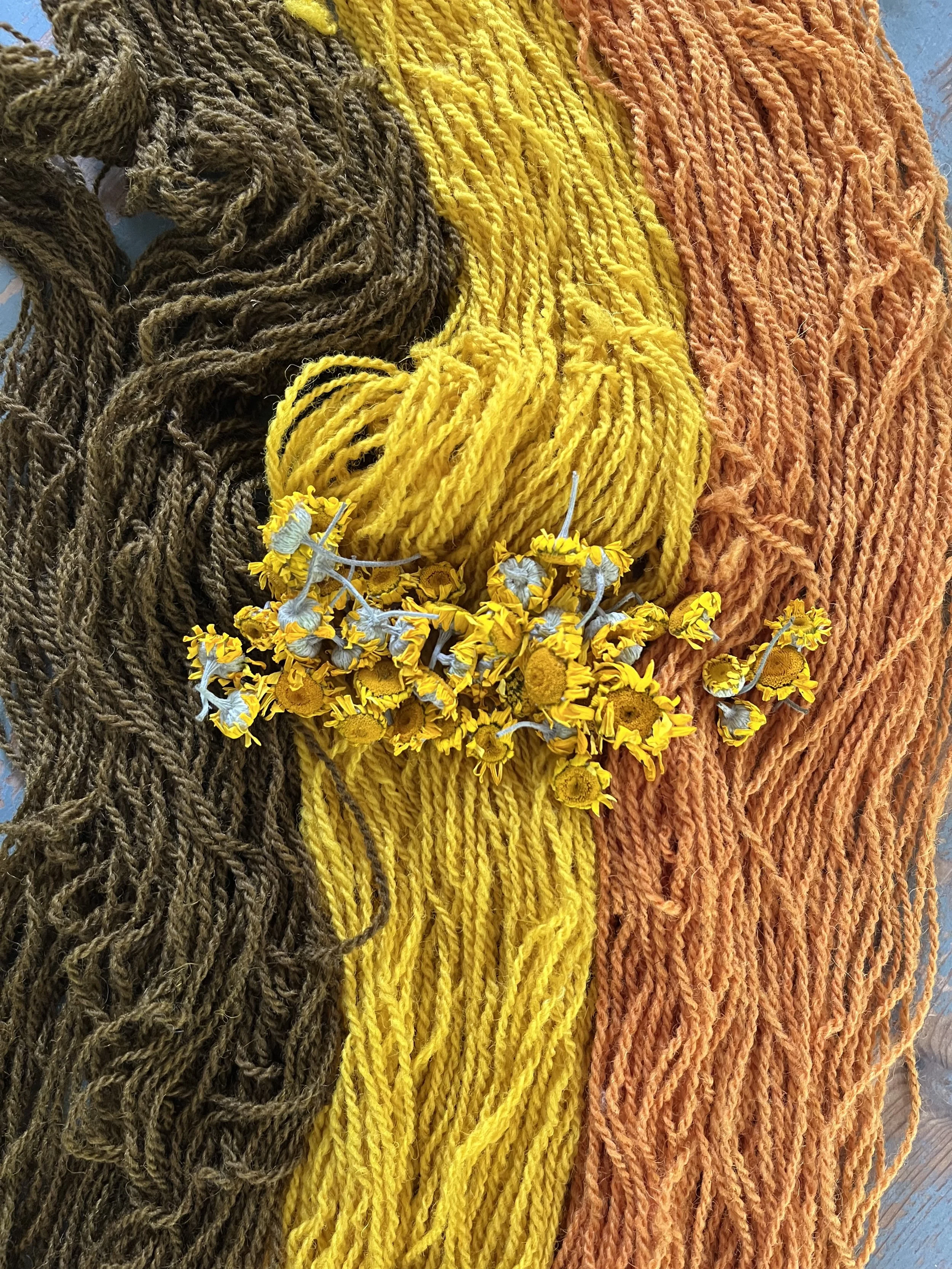 Foto 08-07-2025, 09 51 33.jpg