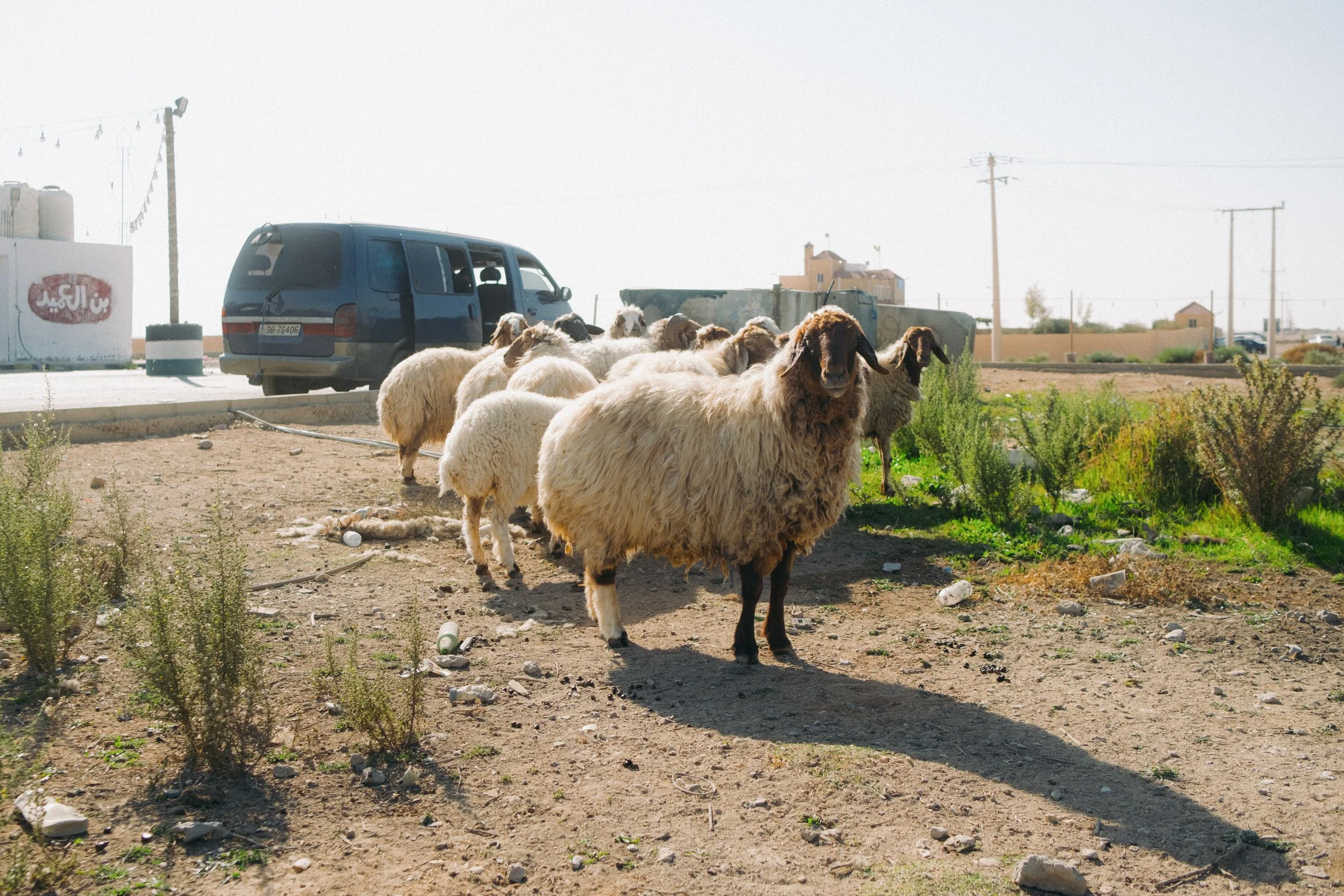 Alessandro_Scarano_Desert_Highway_GiordaniaF.JPG