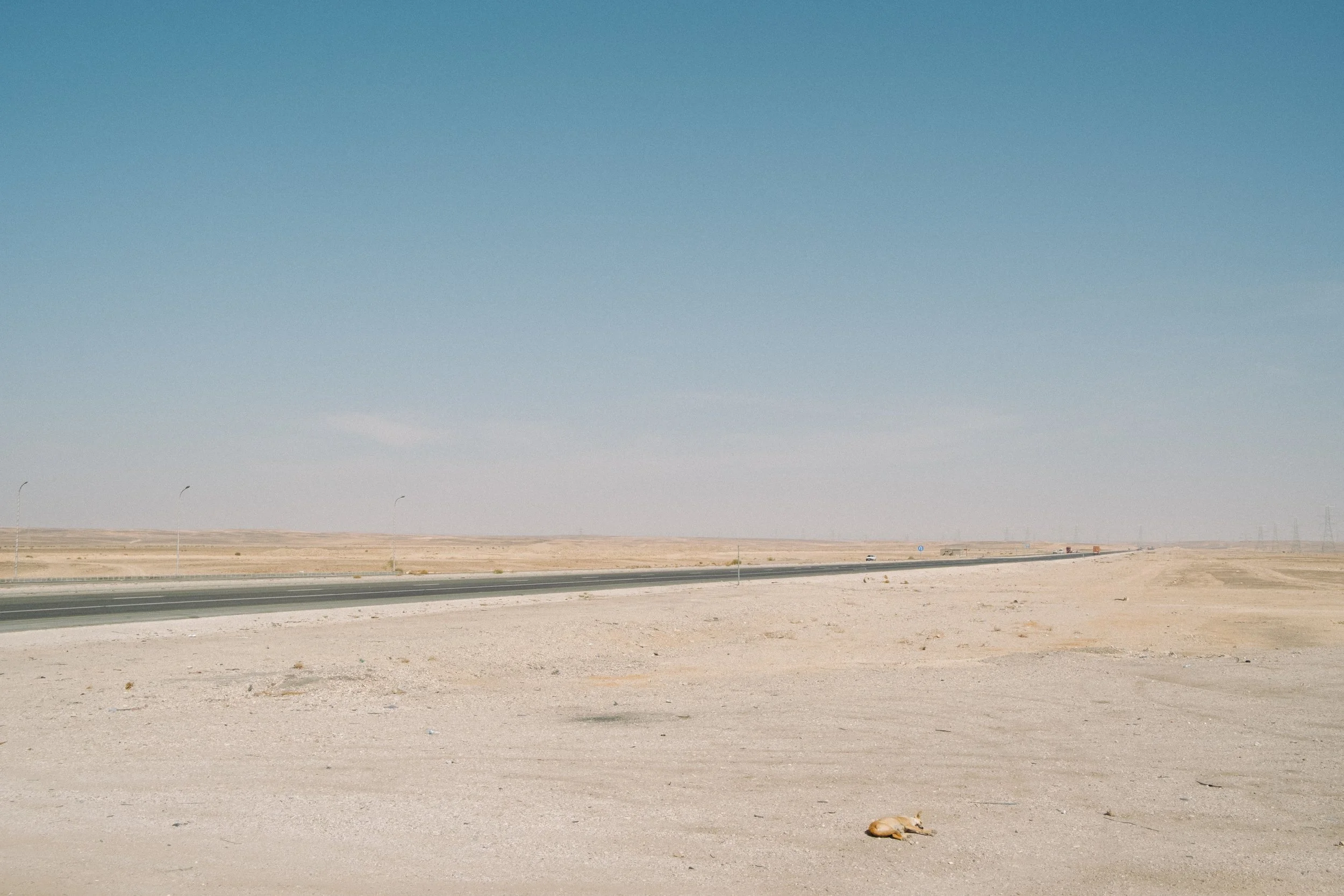 Alessandro_Scarano_Desert_Highway_GiordaniaT.JPG