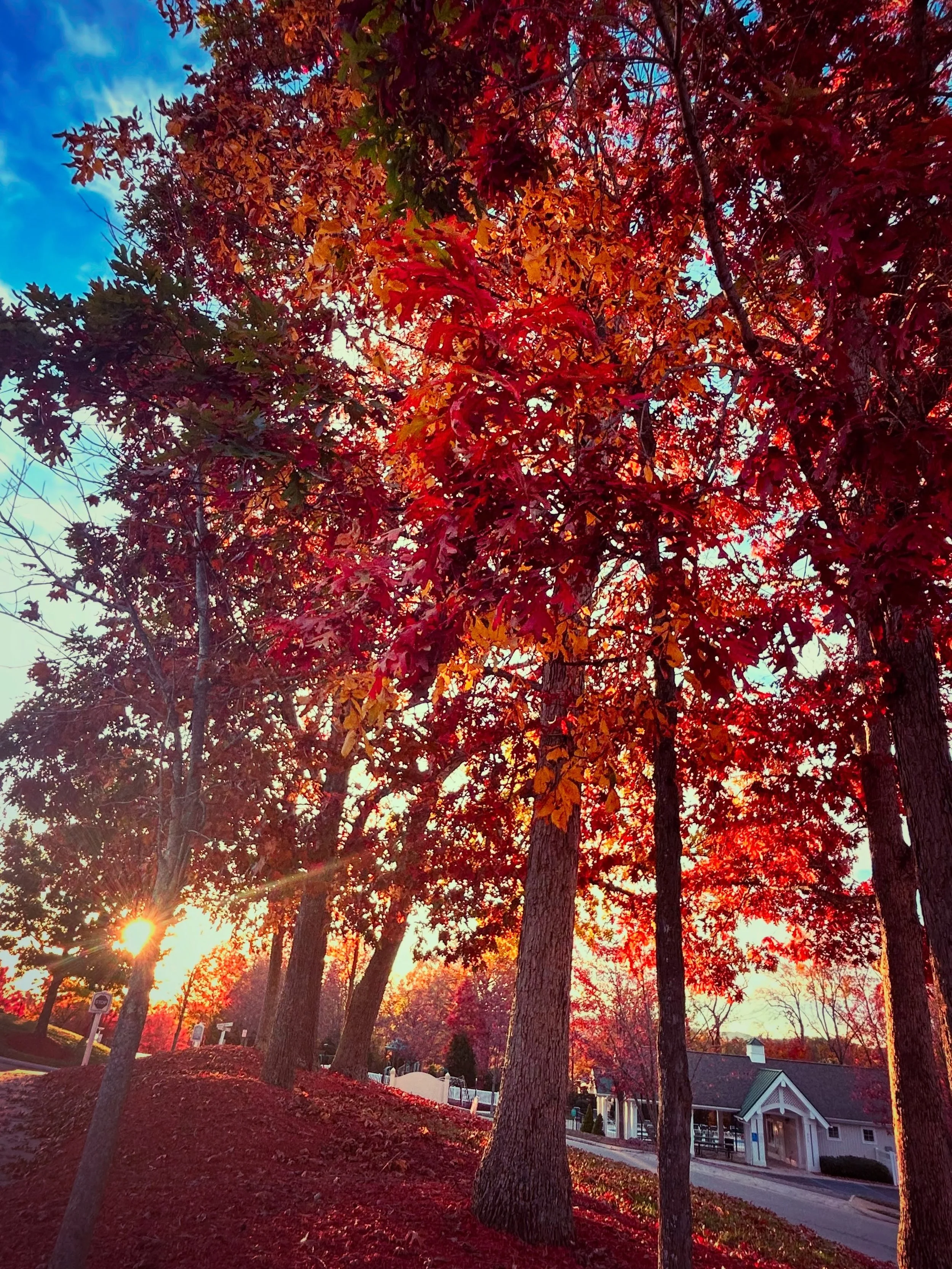 The Leasing Office will be closed today Friday, October 23, and will reopen with normal business hours on Saturday, October 24th.  Have a fantastic Friday and enjoy the start of your weekend!
