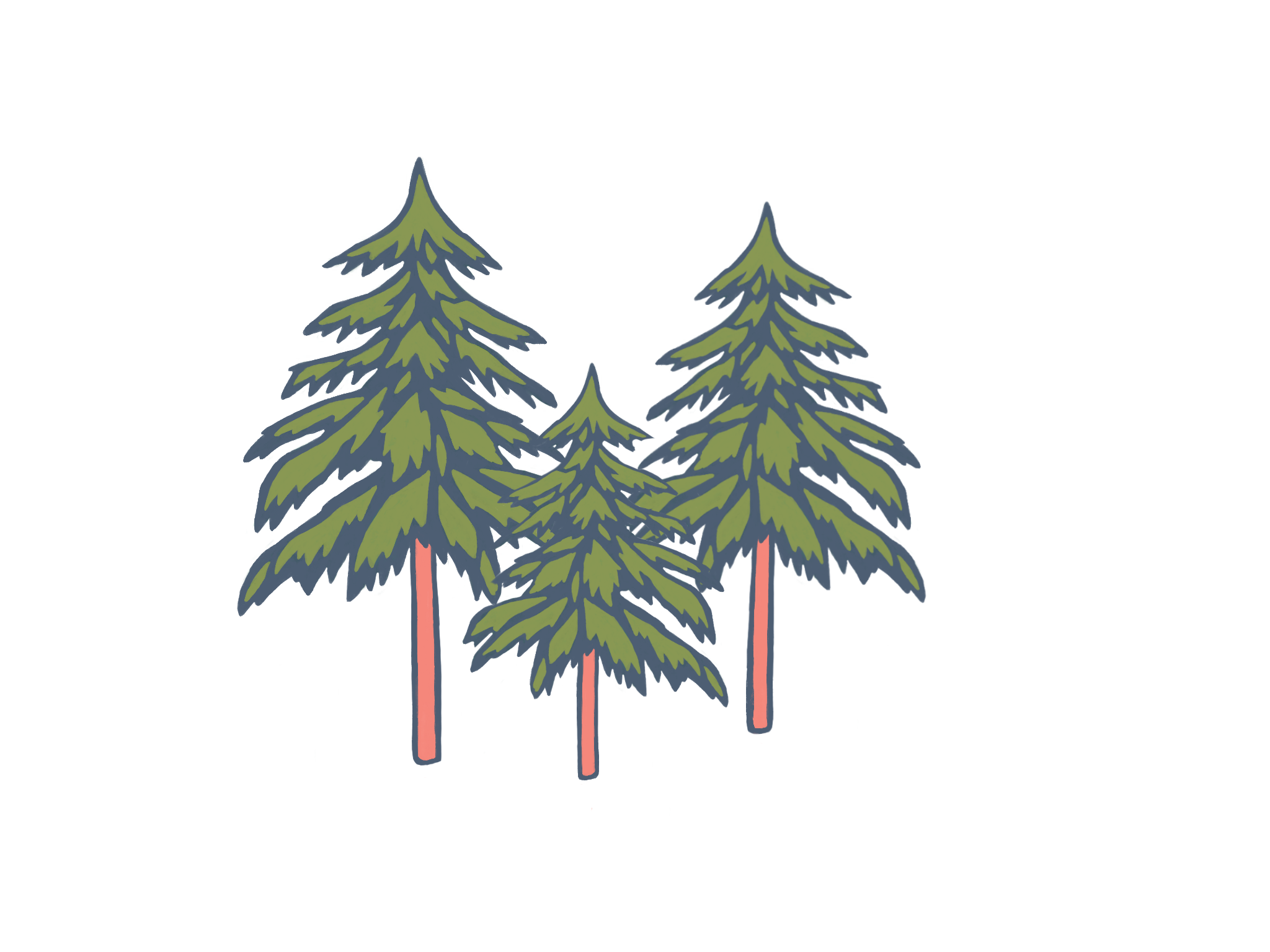 Illustration of three green pine trees against a white background.