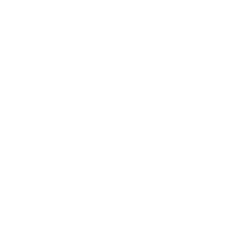 Nica&#39;s Freight Group 