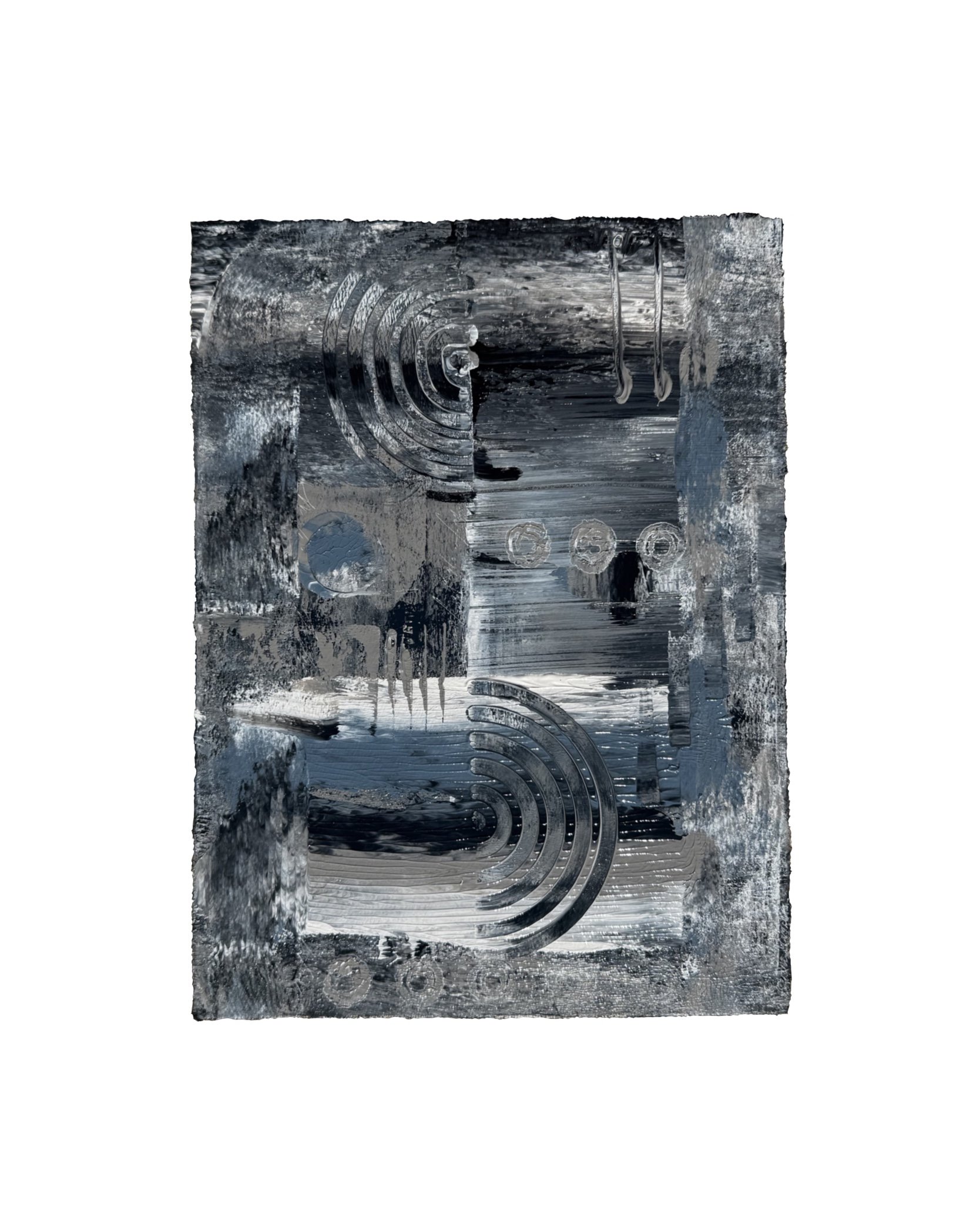 Intrigued by the pallor copy.JPG