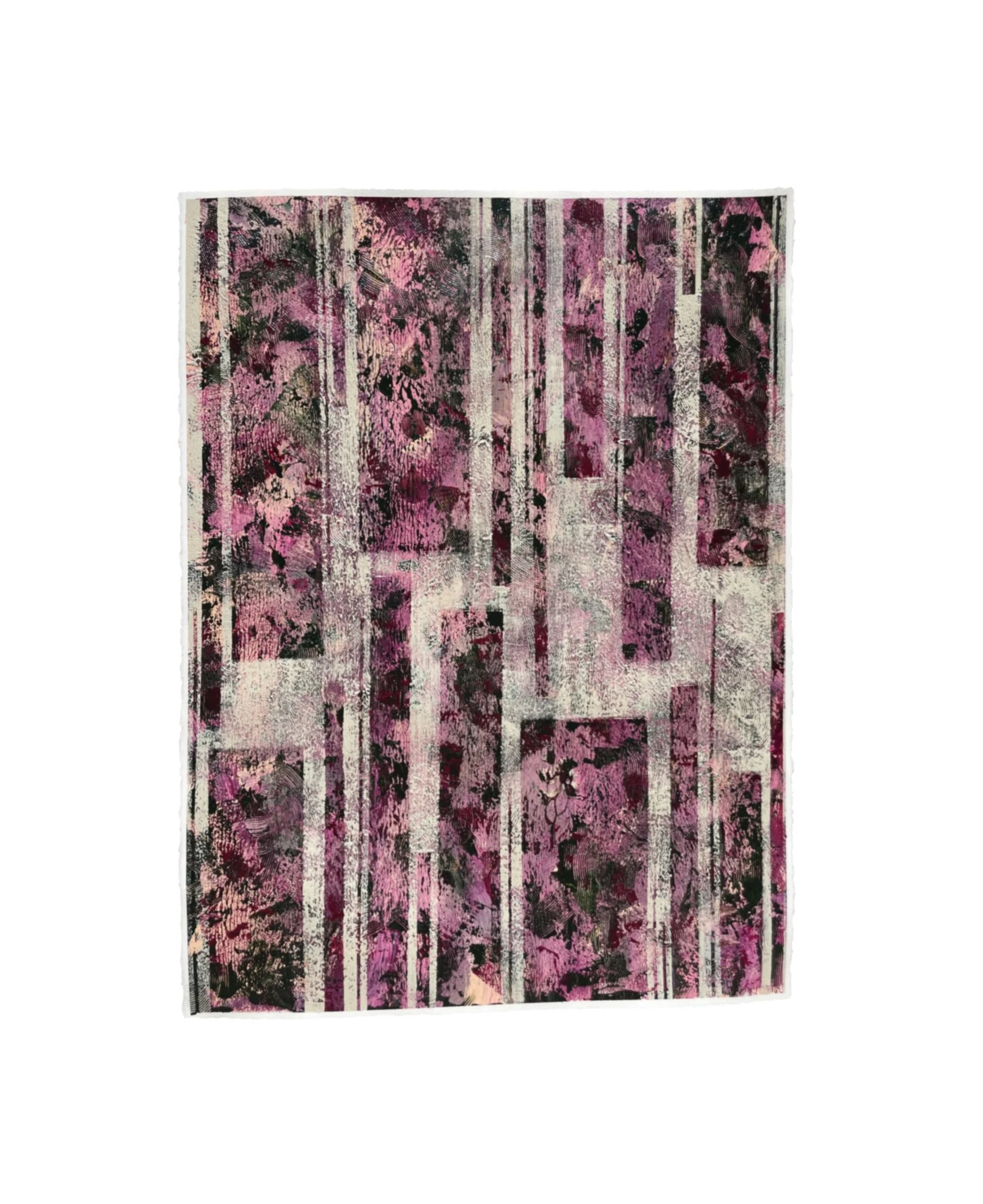 hummingbirds wings.JPG