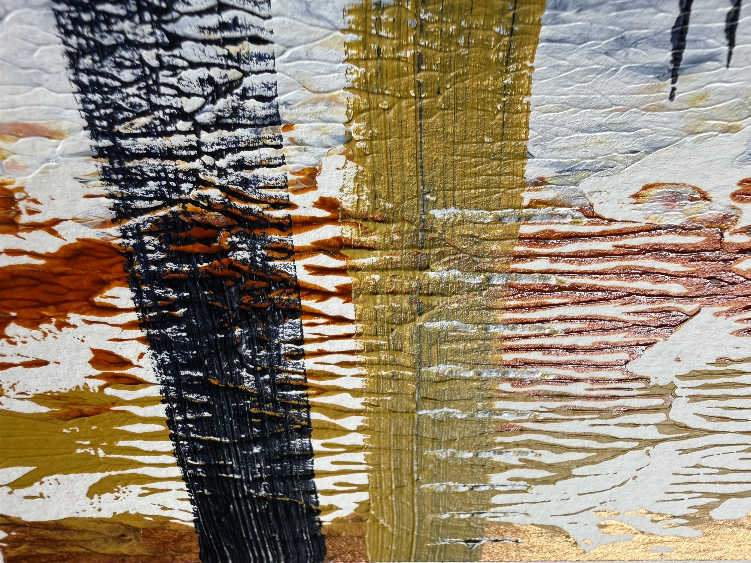 IMG_7789.jpeg
