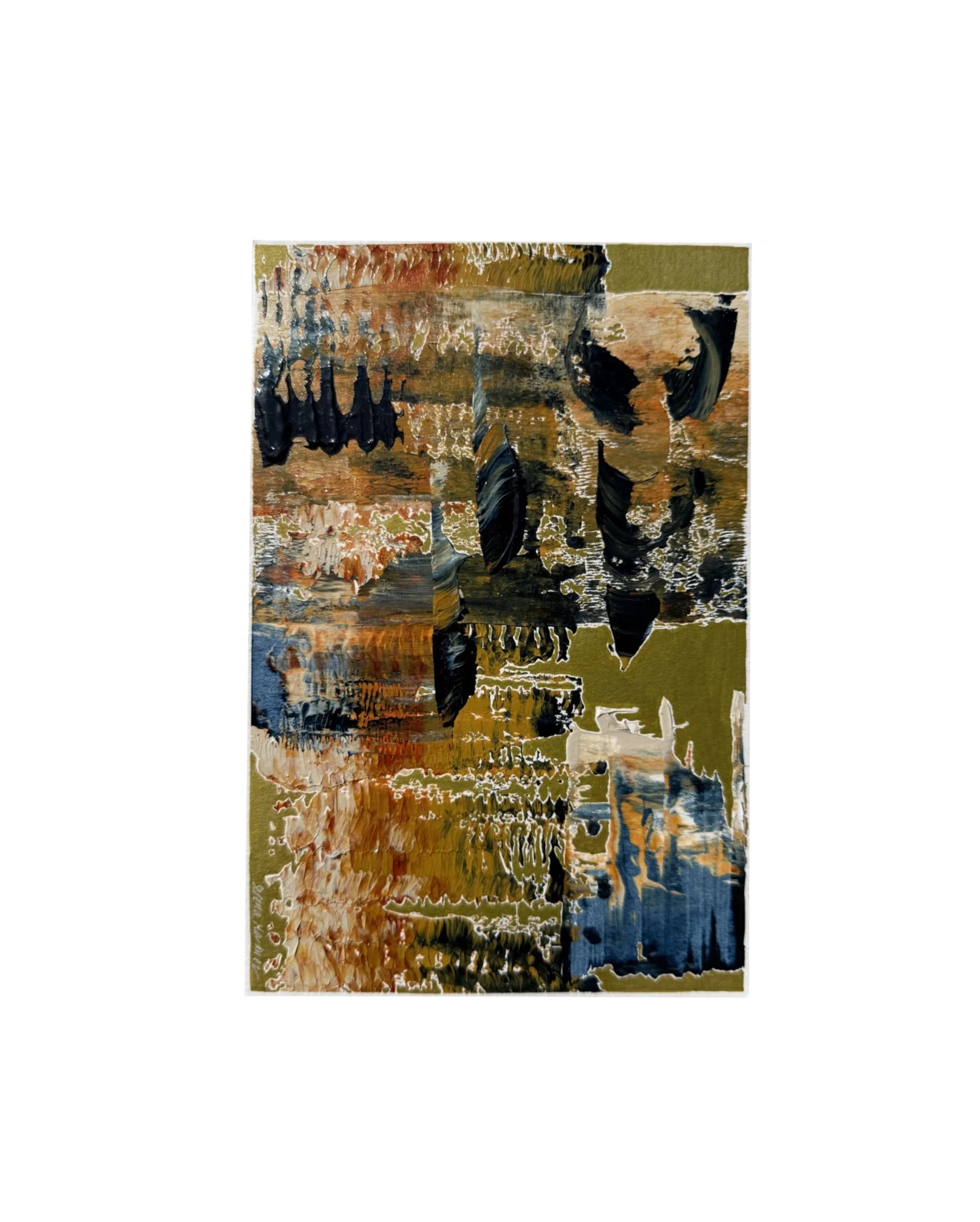 What used to fly wild copy.JPG