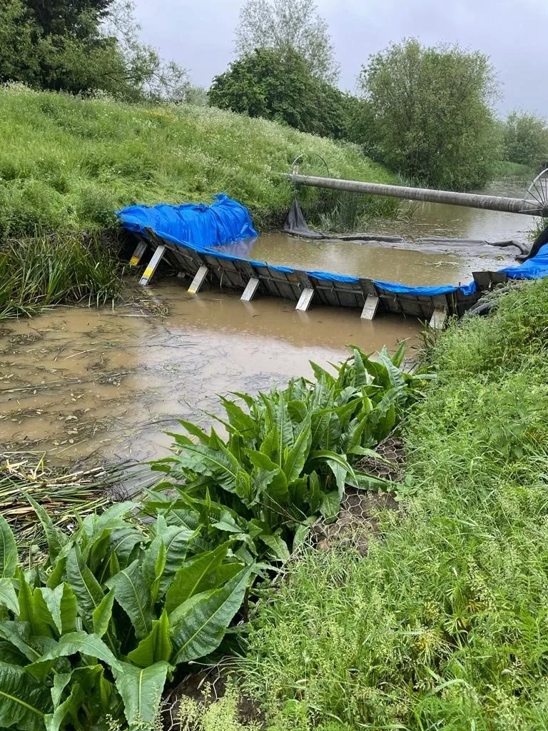 river 1.jpg