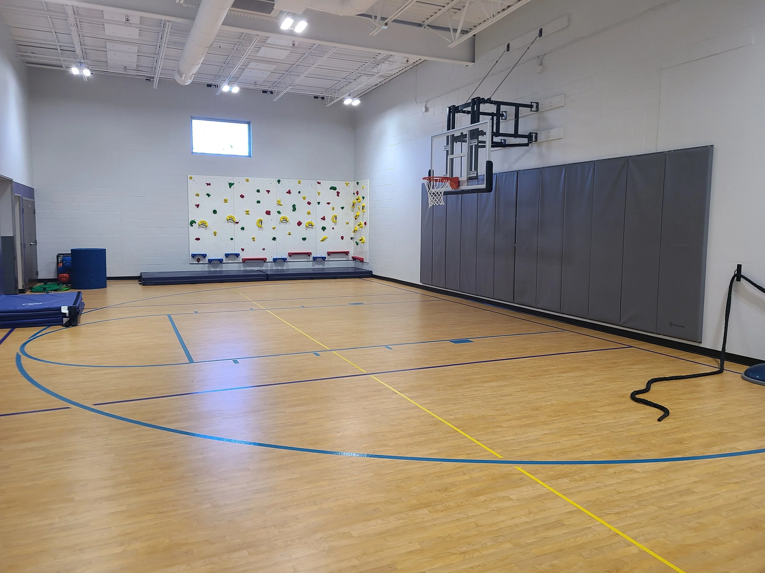 An indoor gym with a climbing wall, basketball hoop, and climbing equipment on the floor.