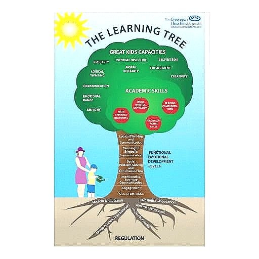 DIR Floortime — fullpotentialtherapyllc.com