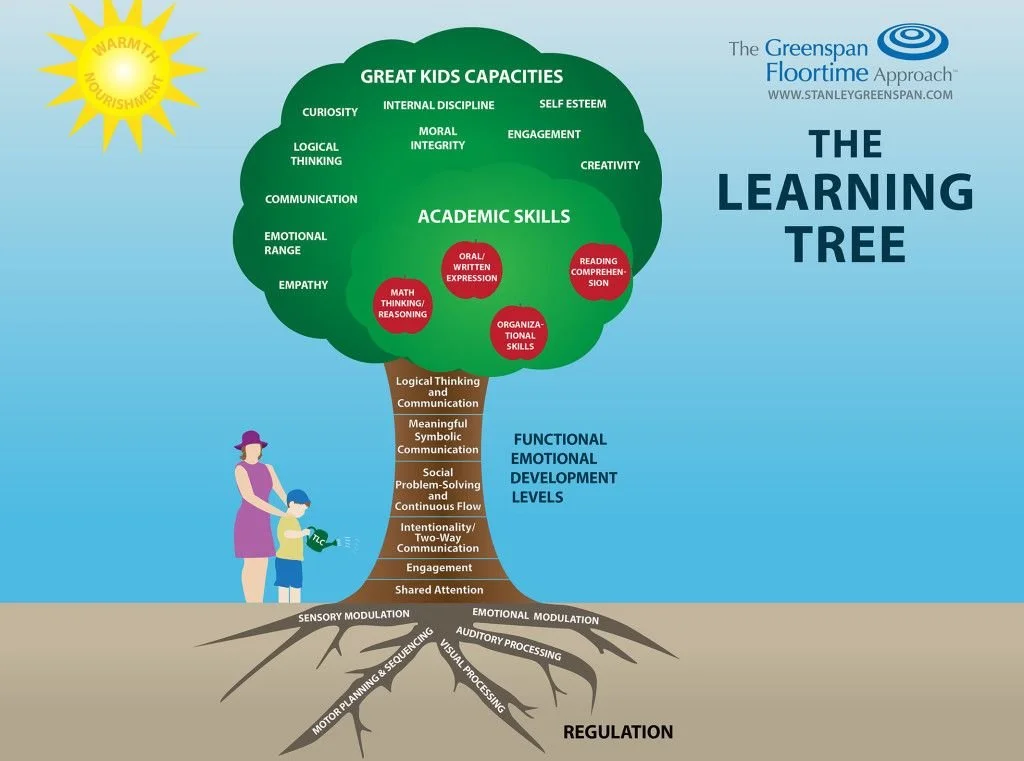 Illustration of a tree labeled 'The Learning Tree' with branches representing various skills and abilities related to child development and learning, including academic skills, great kids capacities, and functional emotional development levels. The roots depict sensory, motor, visual, auditory, sequencing, and regulation processes. A small child and caregiver are shown watering the tree, with a bright sun labeled 'Warmth and Nourishment' shining above.