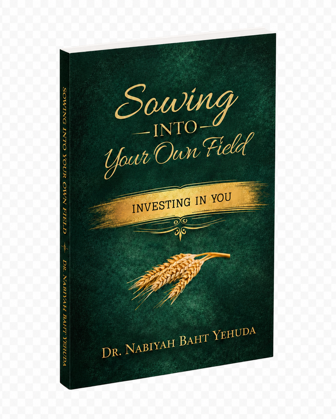 Sowing Into Your Own Field: Investing in You