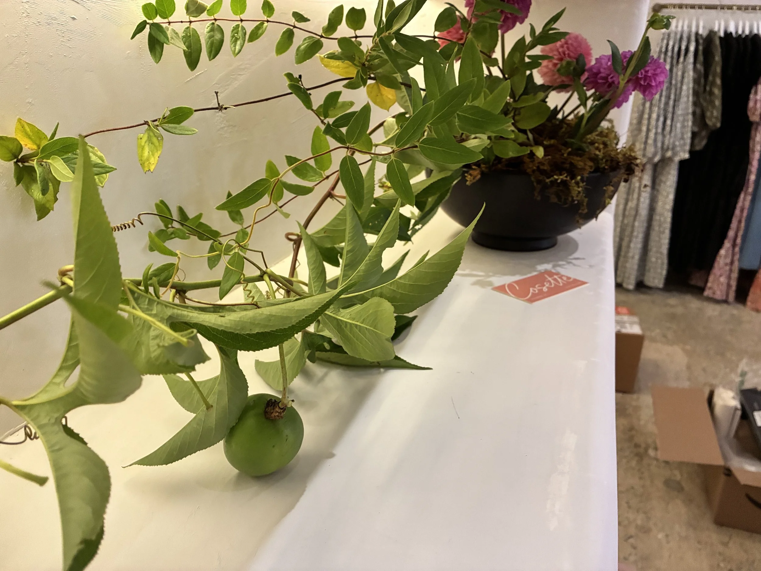 Cosette Bowl Arrange.jpg