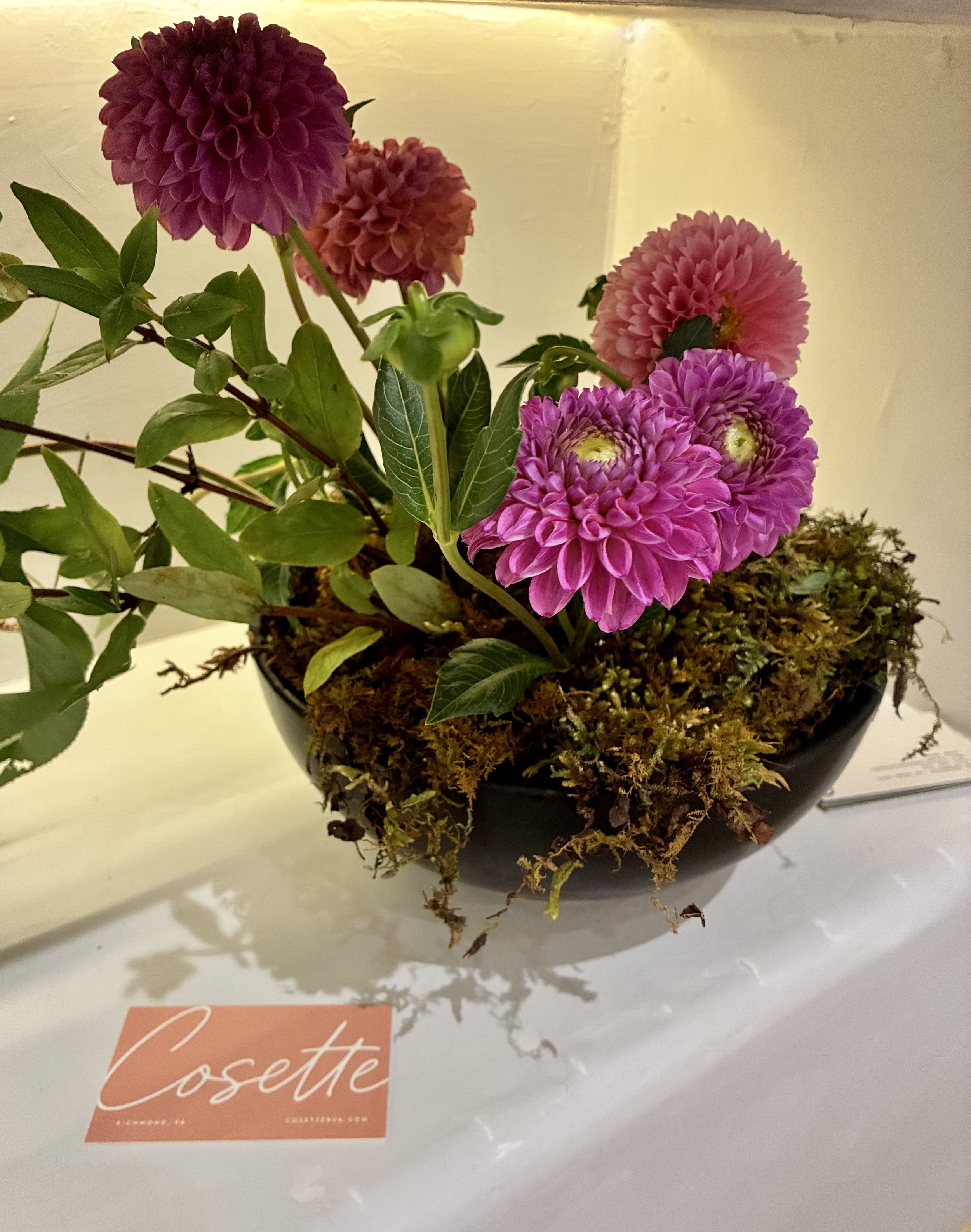 Cosette Bowl 2 .jpg