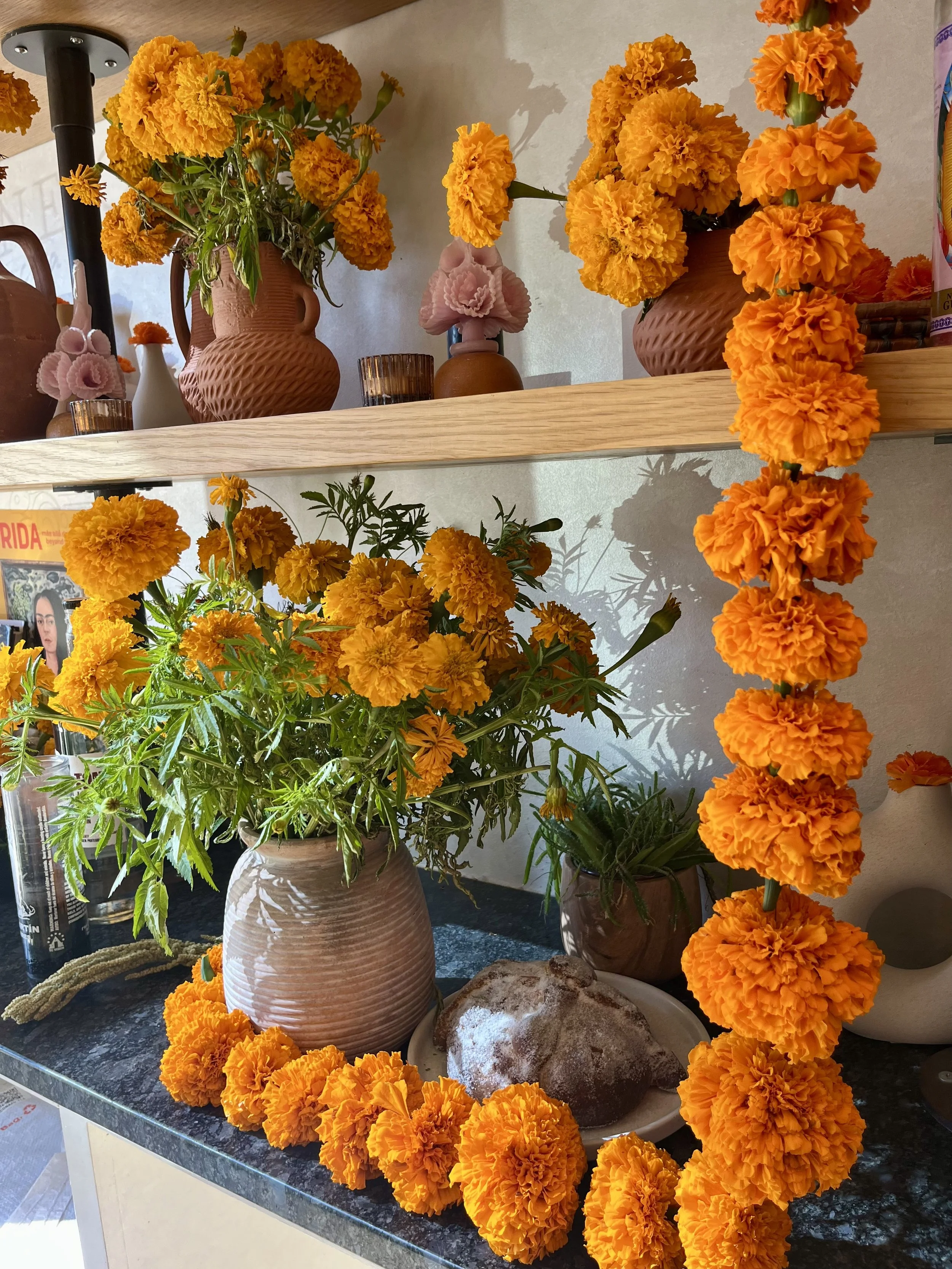 Conejo Dia De Los Muertos .jpg