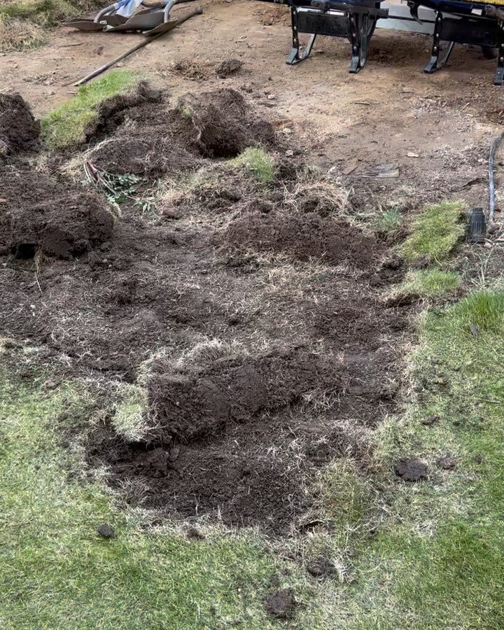 Who doesn&rsquo;t love a before and after?

Transformed this backyard into a low maintenance summer-ready oasis. Project included&hellip;.wood enclosures, hardscape pavers, fountain and fire pit, landscape lighting, artificial turf, and plant install